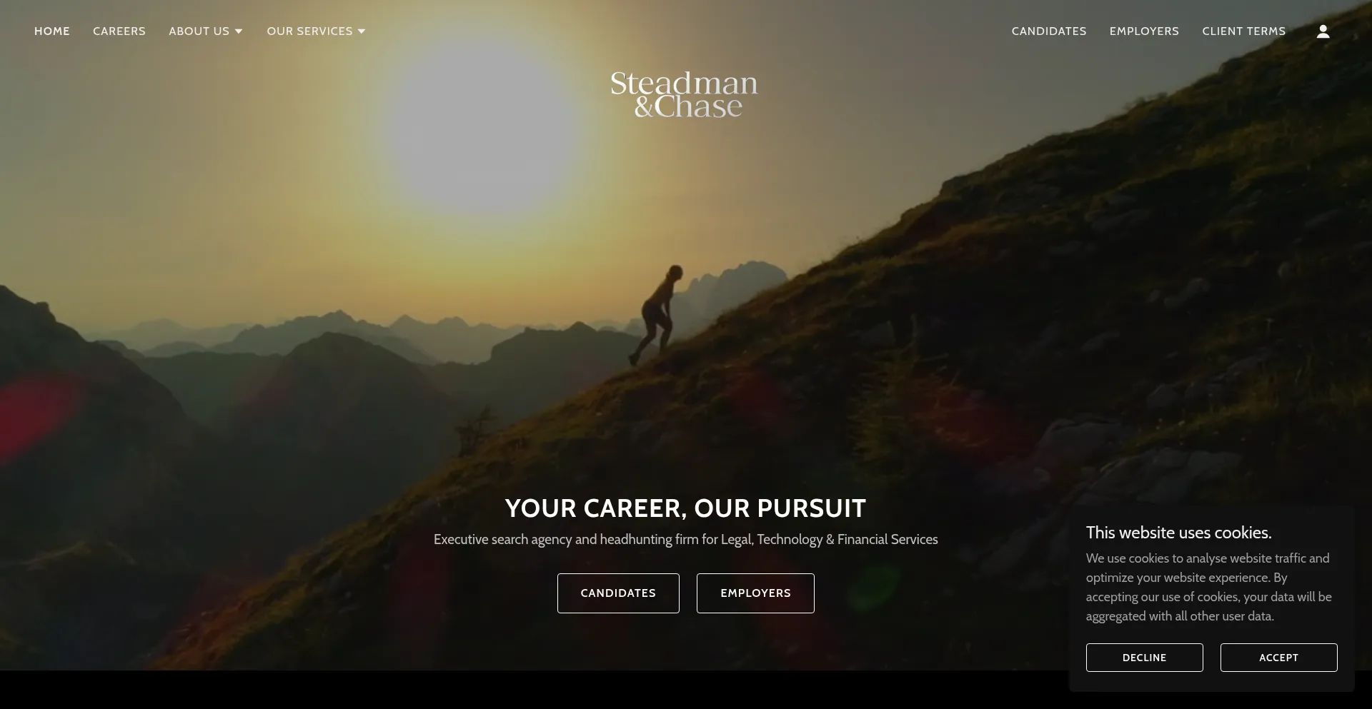 Website screenshot of Steadmanchase.com