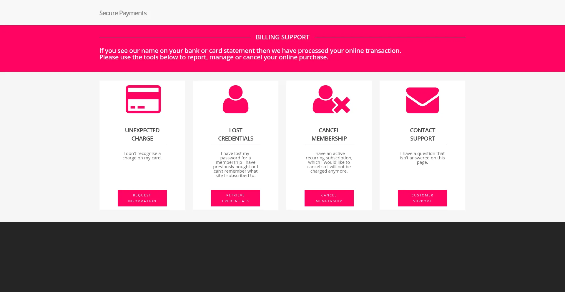 Website screenshot of Steadypayers.net