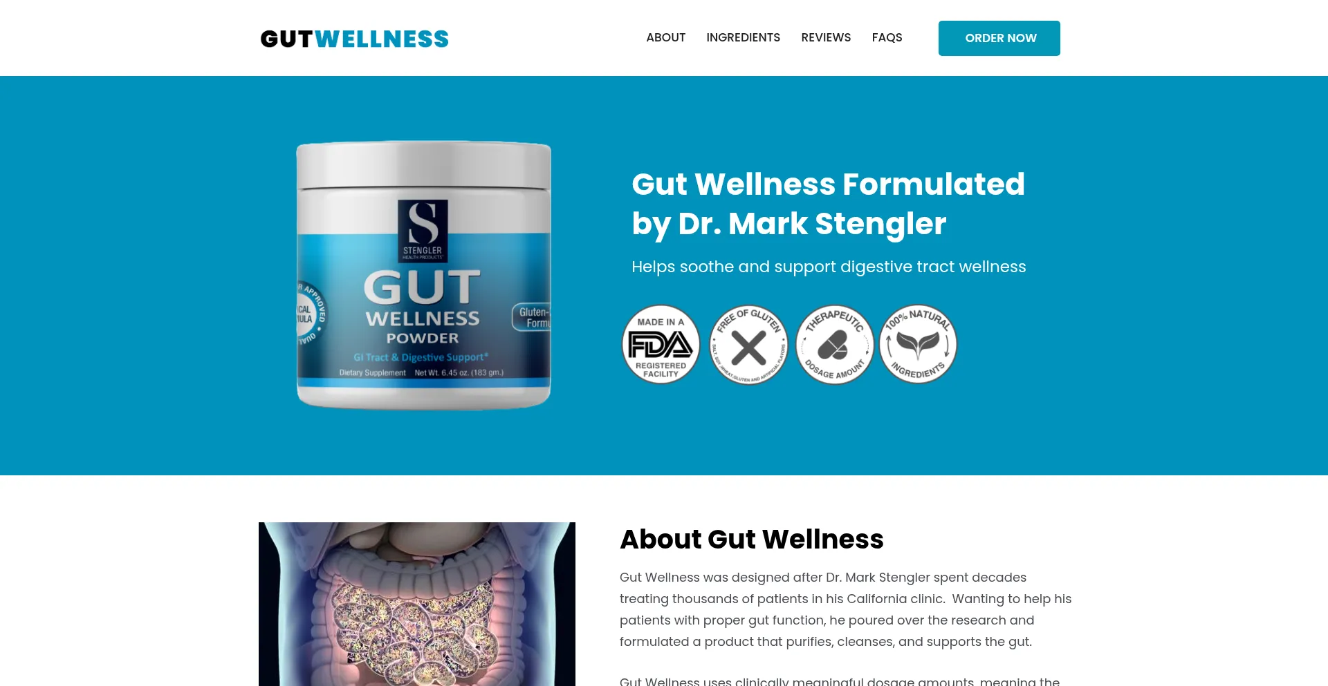 Website screenshot of Stenglergutwellness.com