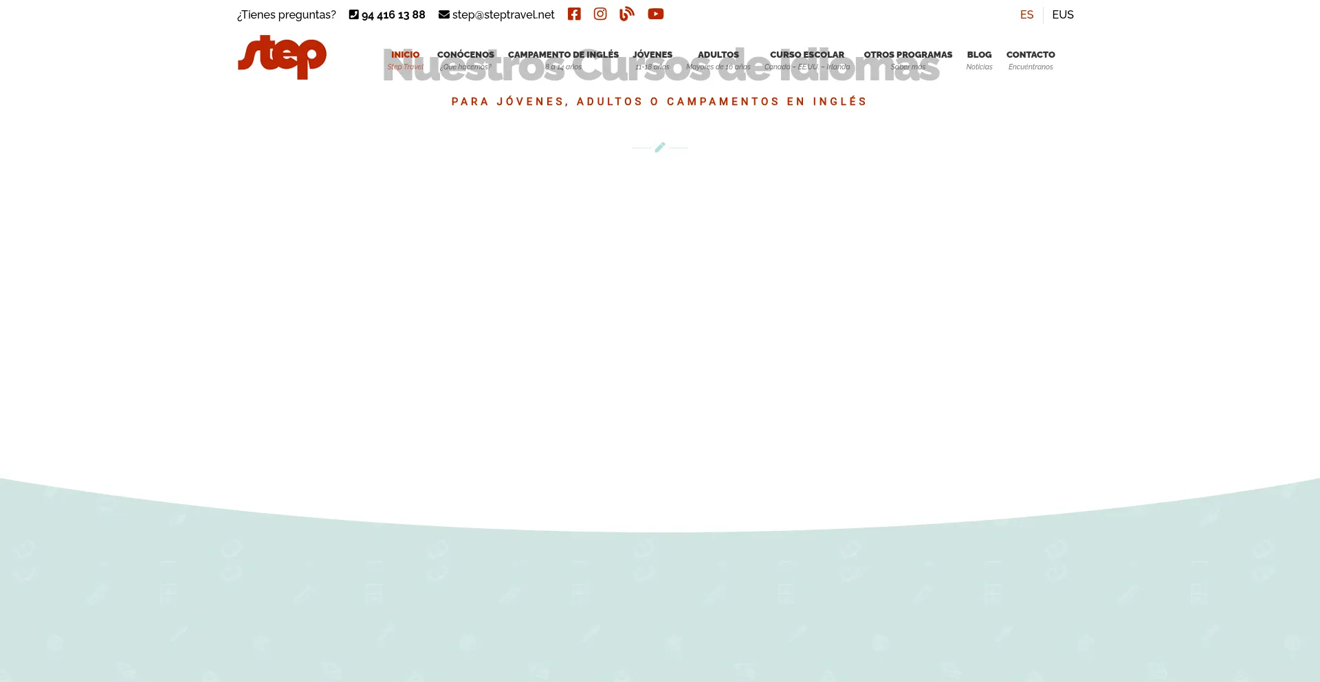Website screenshot of Steptravel.net