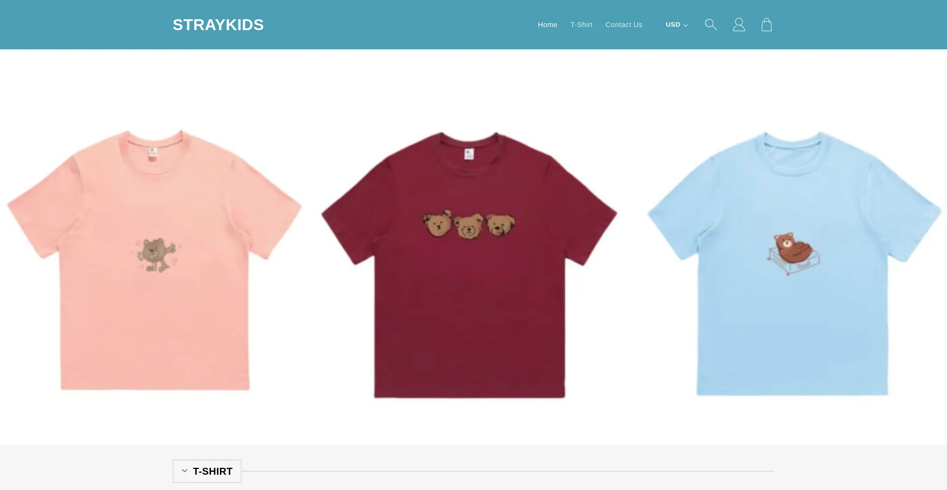 Website screenshot of Straykids.us