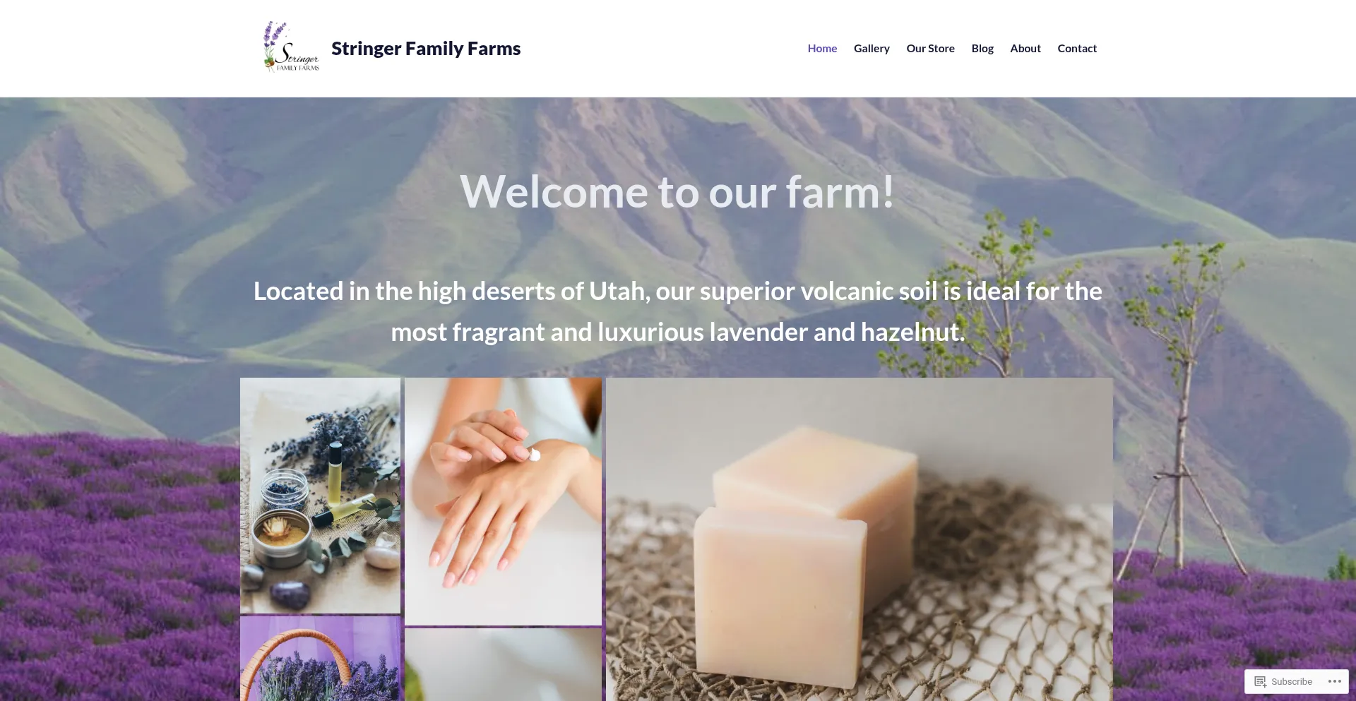 Website screenshot of Stringerfamilyfarms.com