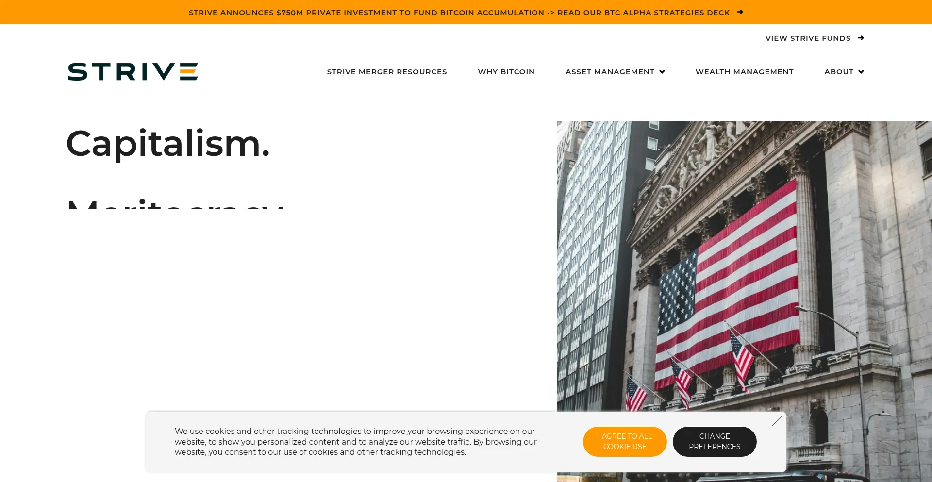 Website screenshot of Strive.com