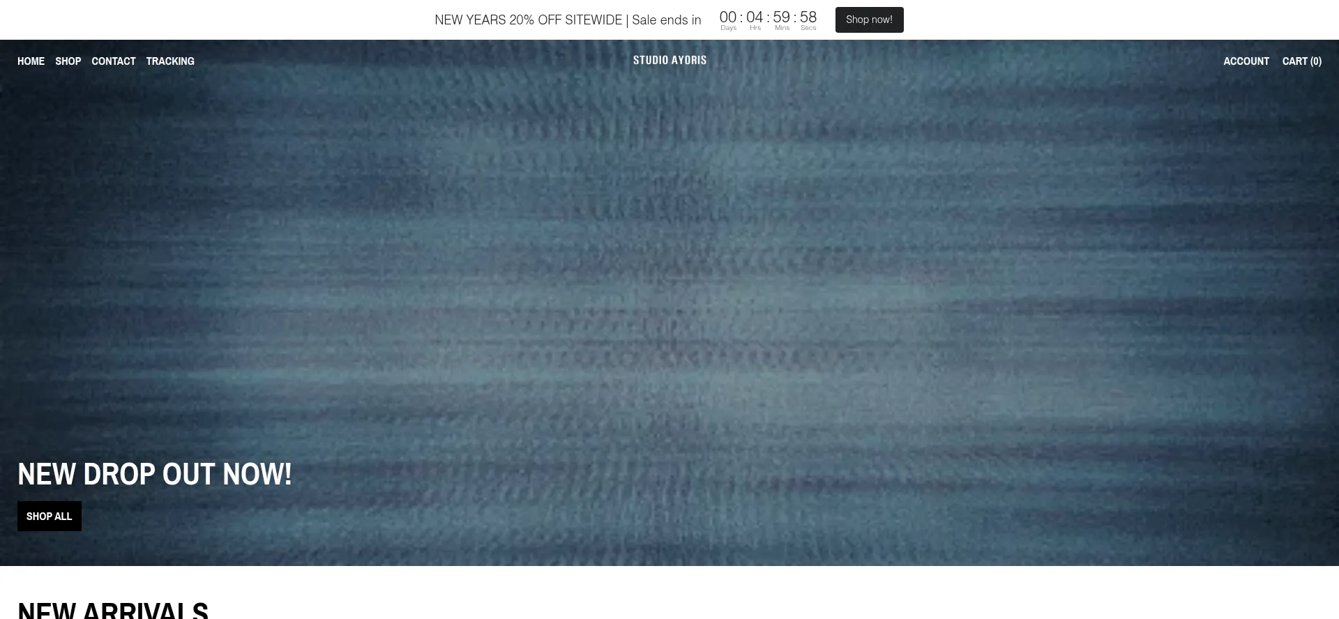 Website screenshot of Studioayoris.com