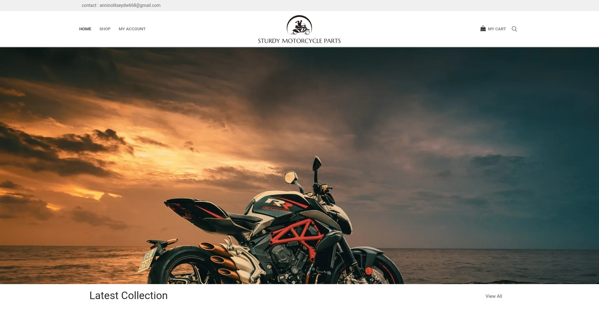 Sturdymotorcycleparts.com