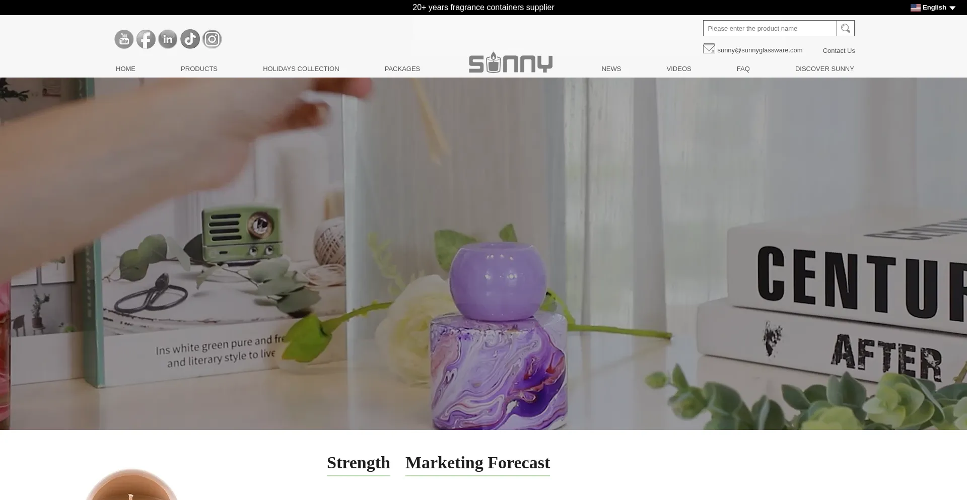 Website screenshot of Sunnyglassware.com