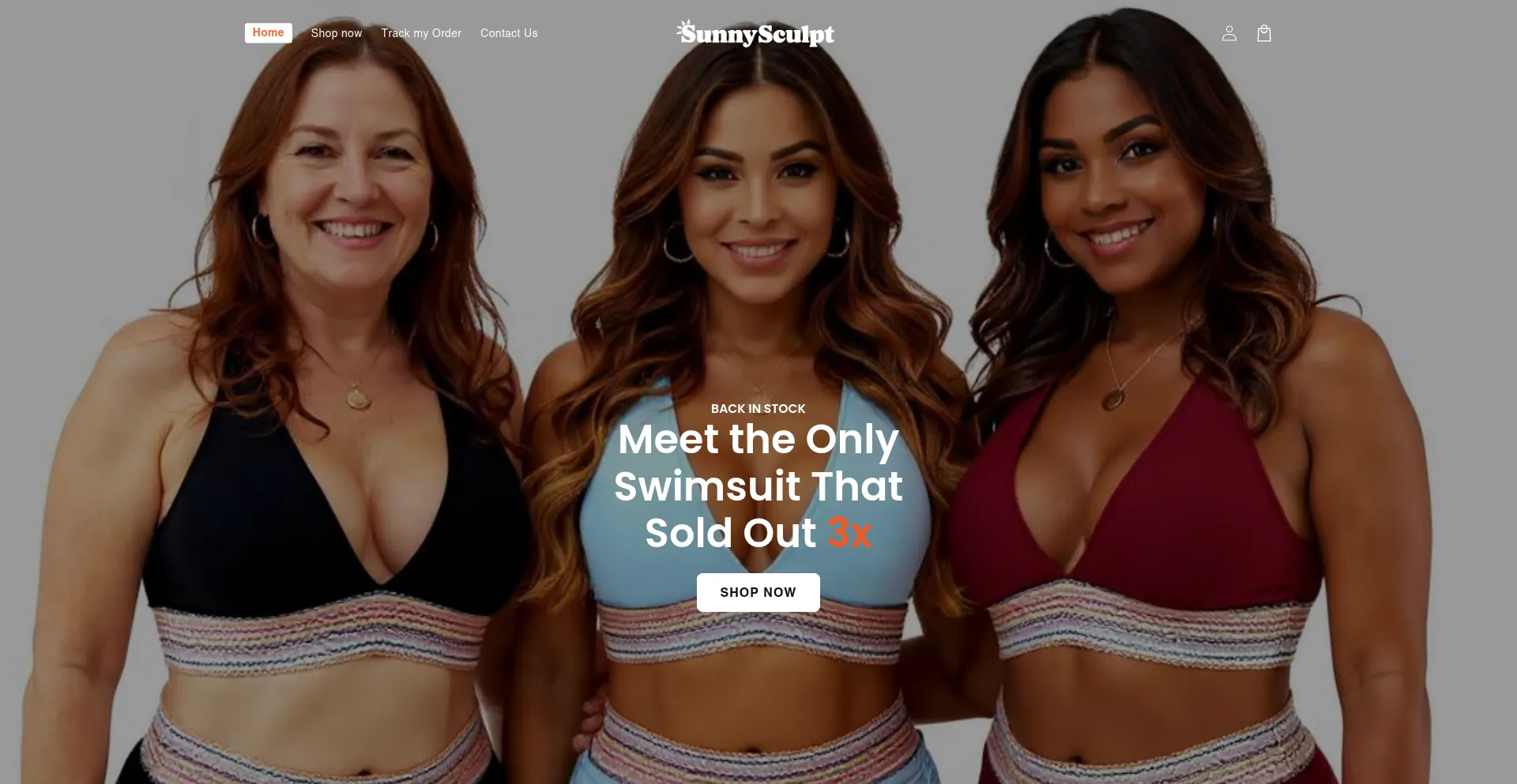 Website screenshot of Sunnysculpt.com