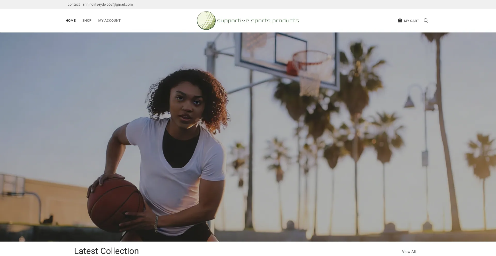 Supportivesportsproducts.com