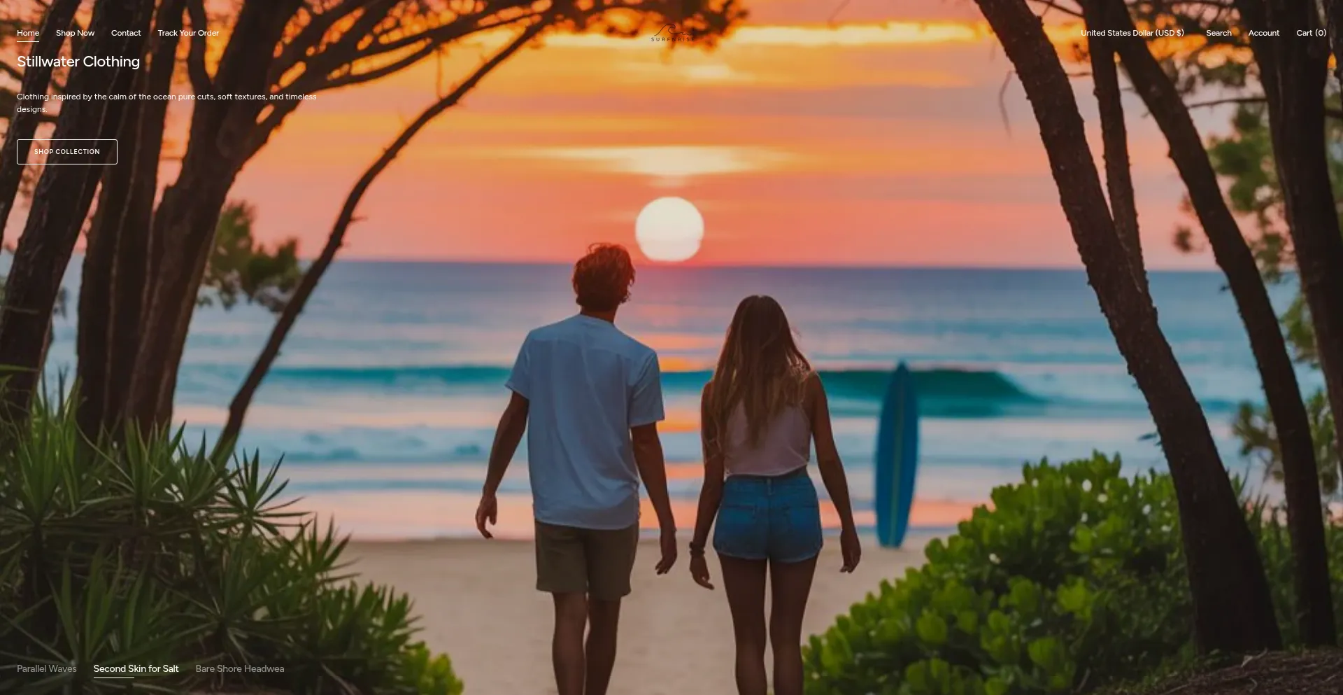 Website screenshot of Surfnrise.com
