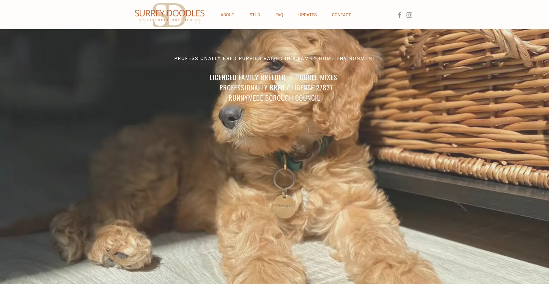 Surreydoodles.co.uk