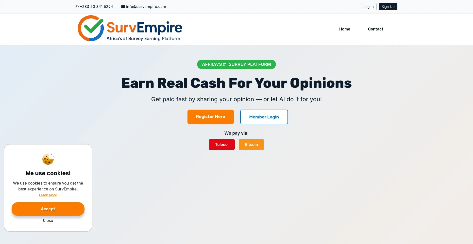 Website screenshot of Survempire.com