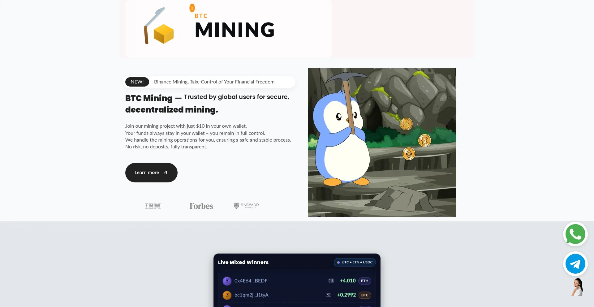 Website screenshot of Sw199.com