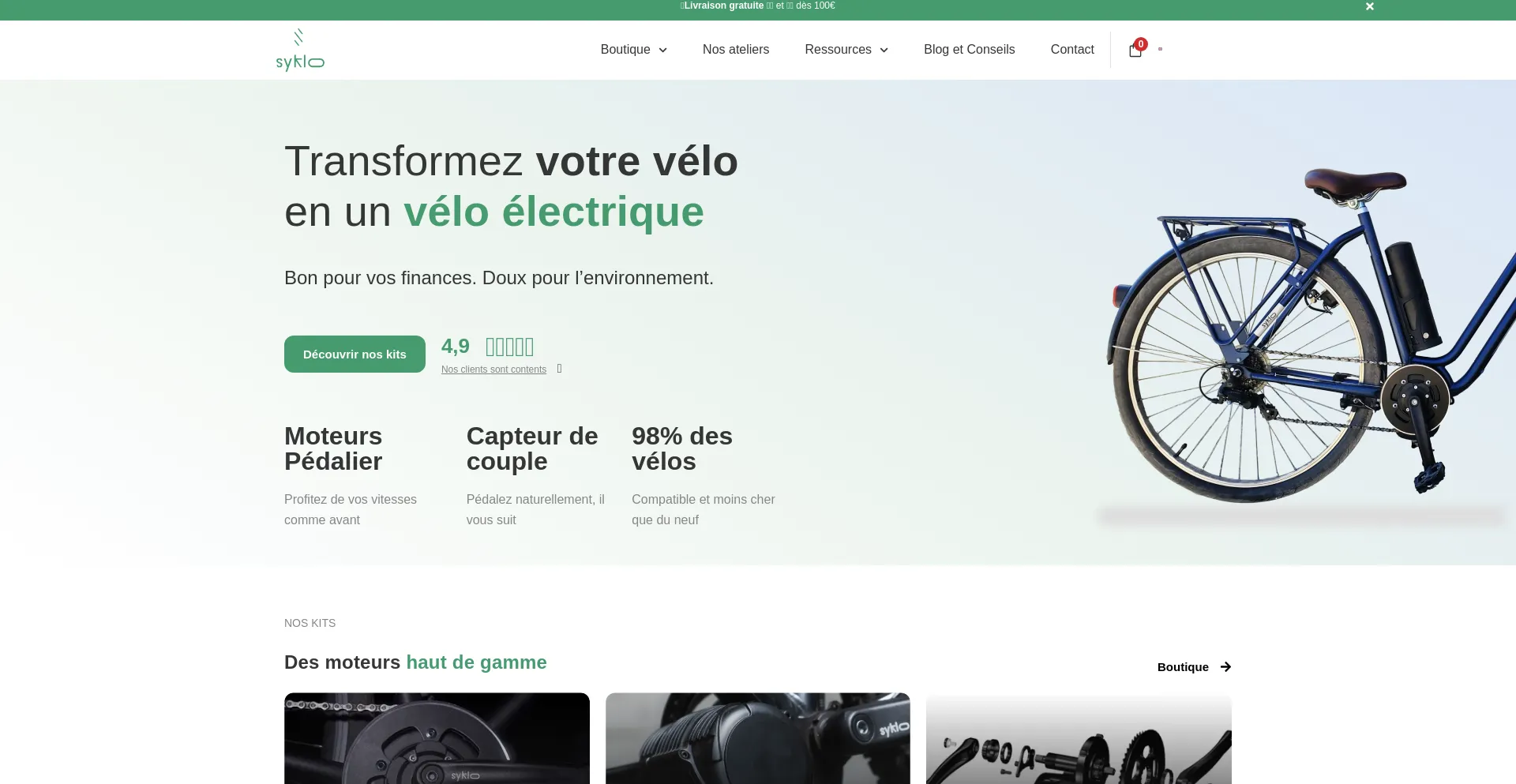 Website screenshot of Syklo.fr
