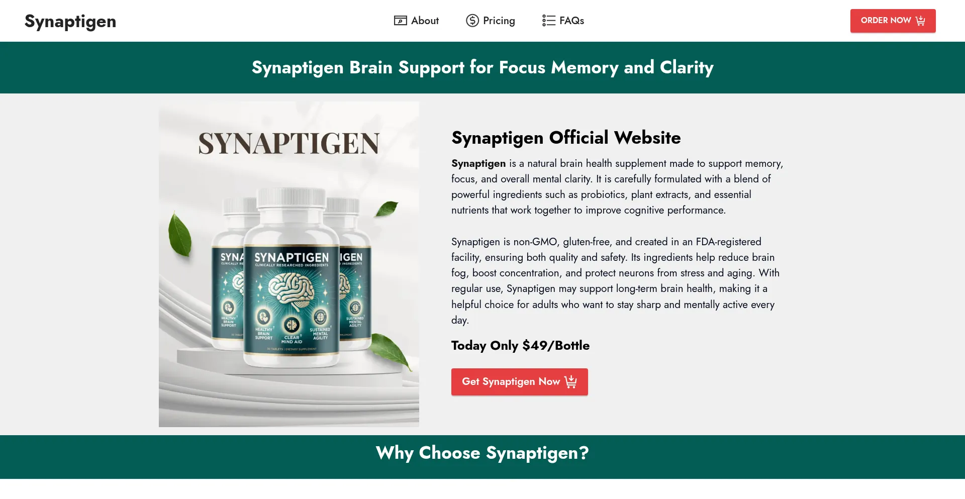 Synaptegin.us Screenshot