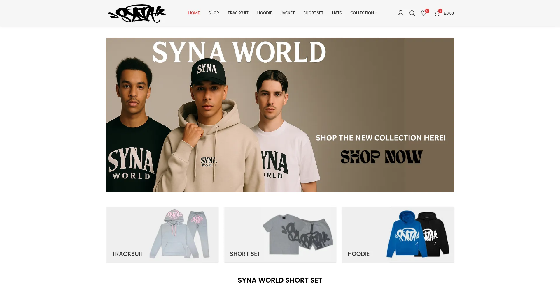 Website screenshot of Synaworld.us