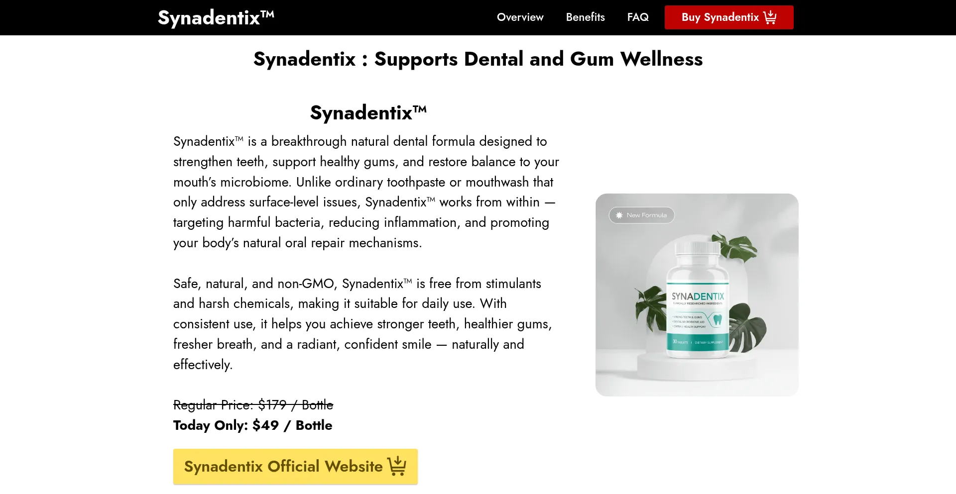 Synedantix.com