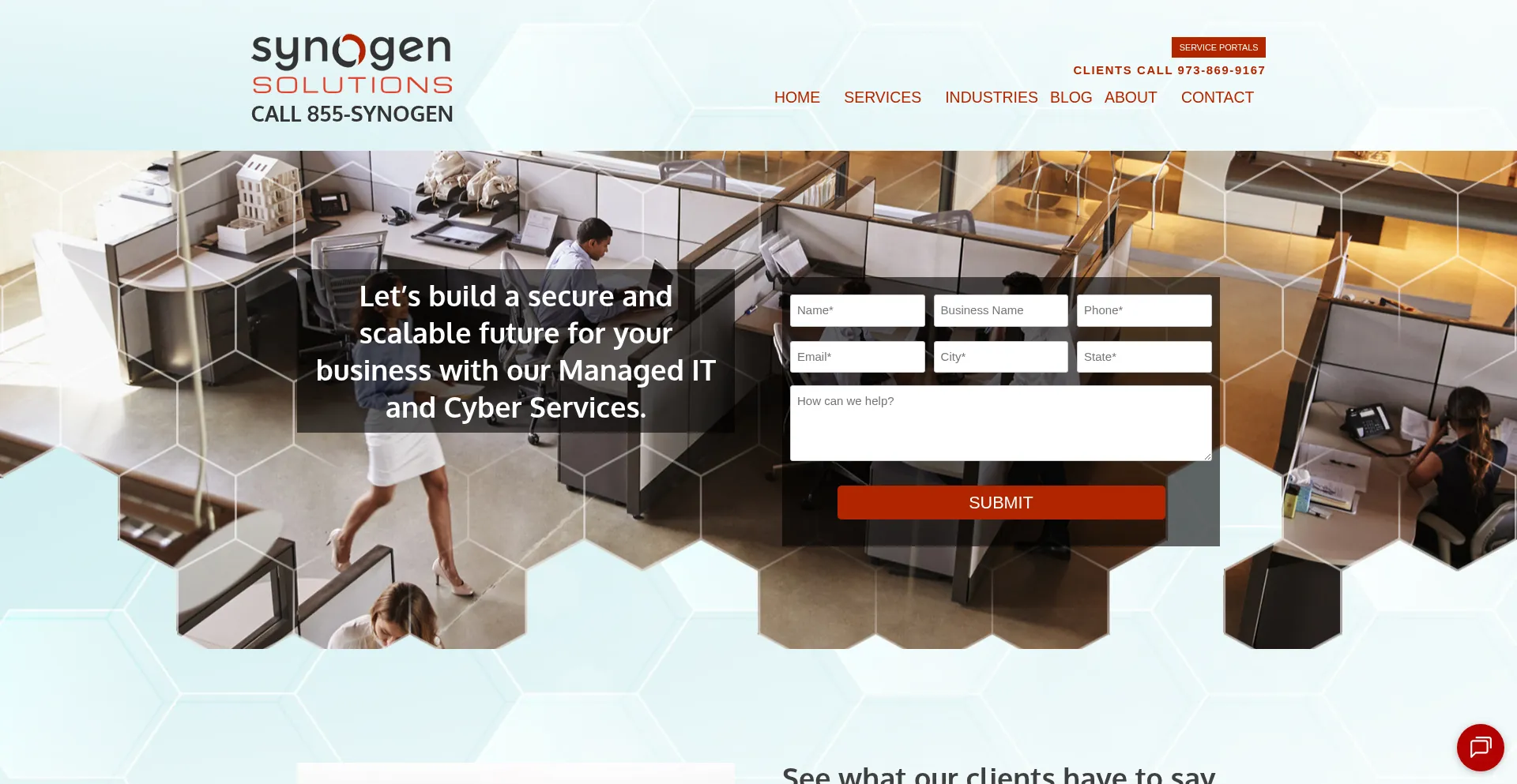 Synogensolutions.com Screenshot