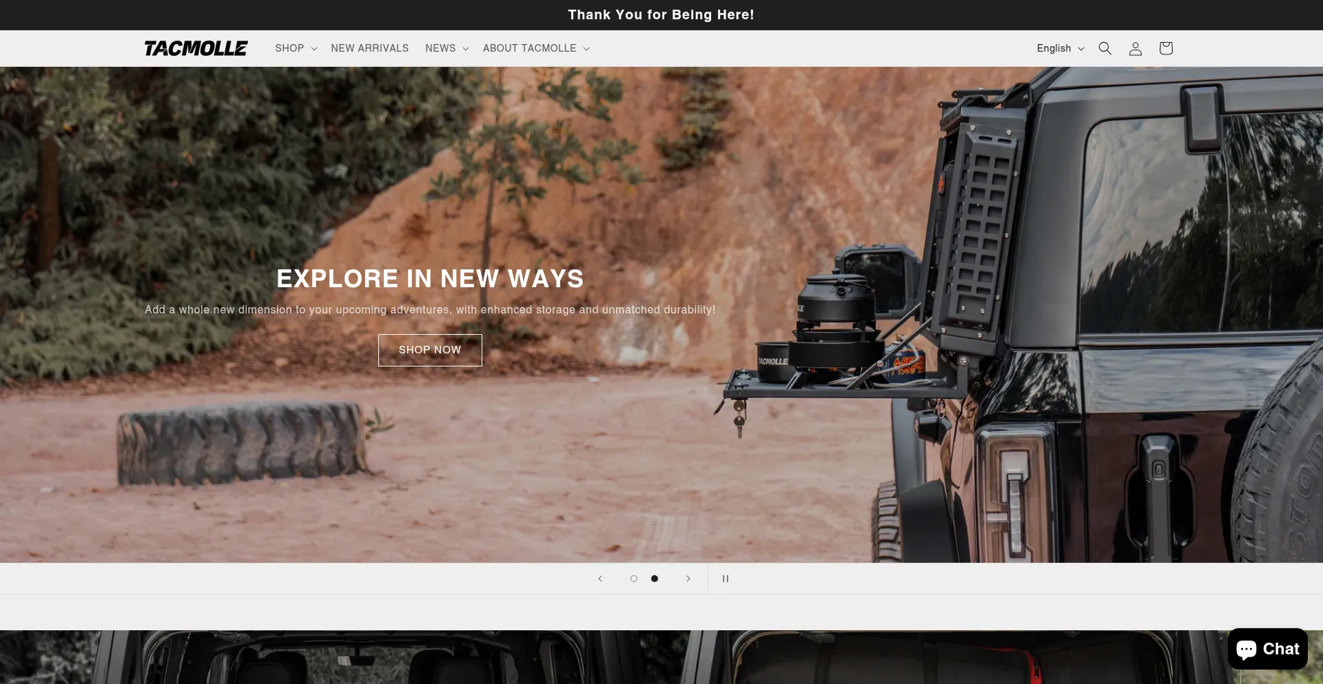 Website screenshot of Tacmolle.com