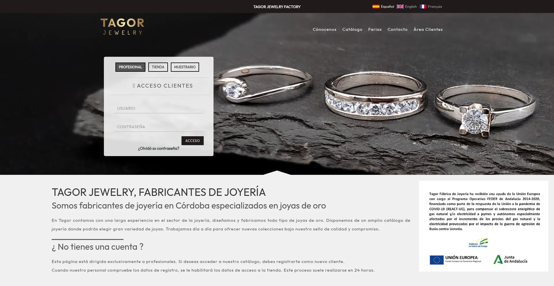 Website screenshot of Tagorjewelry.com