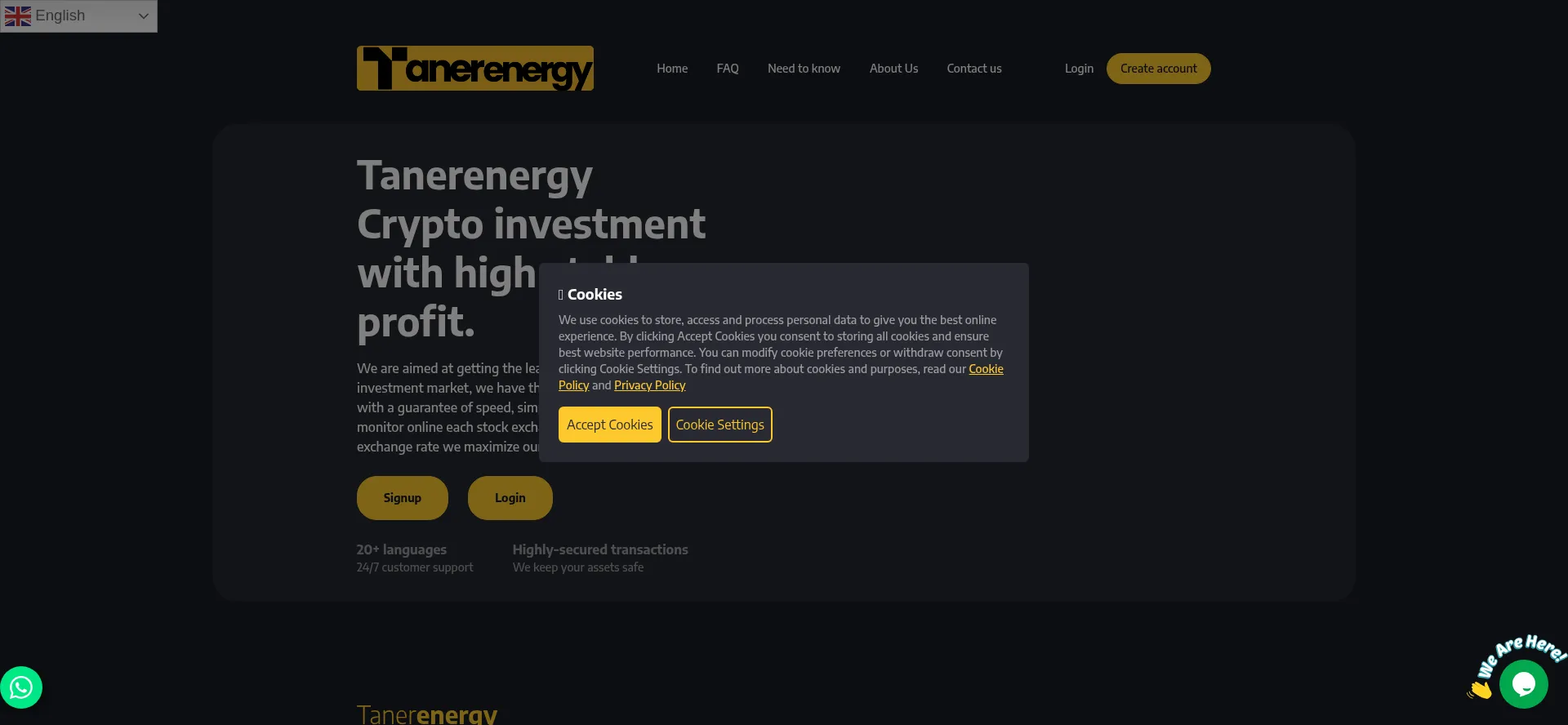 Website screenshot of Tanerenergy.ltd