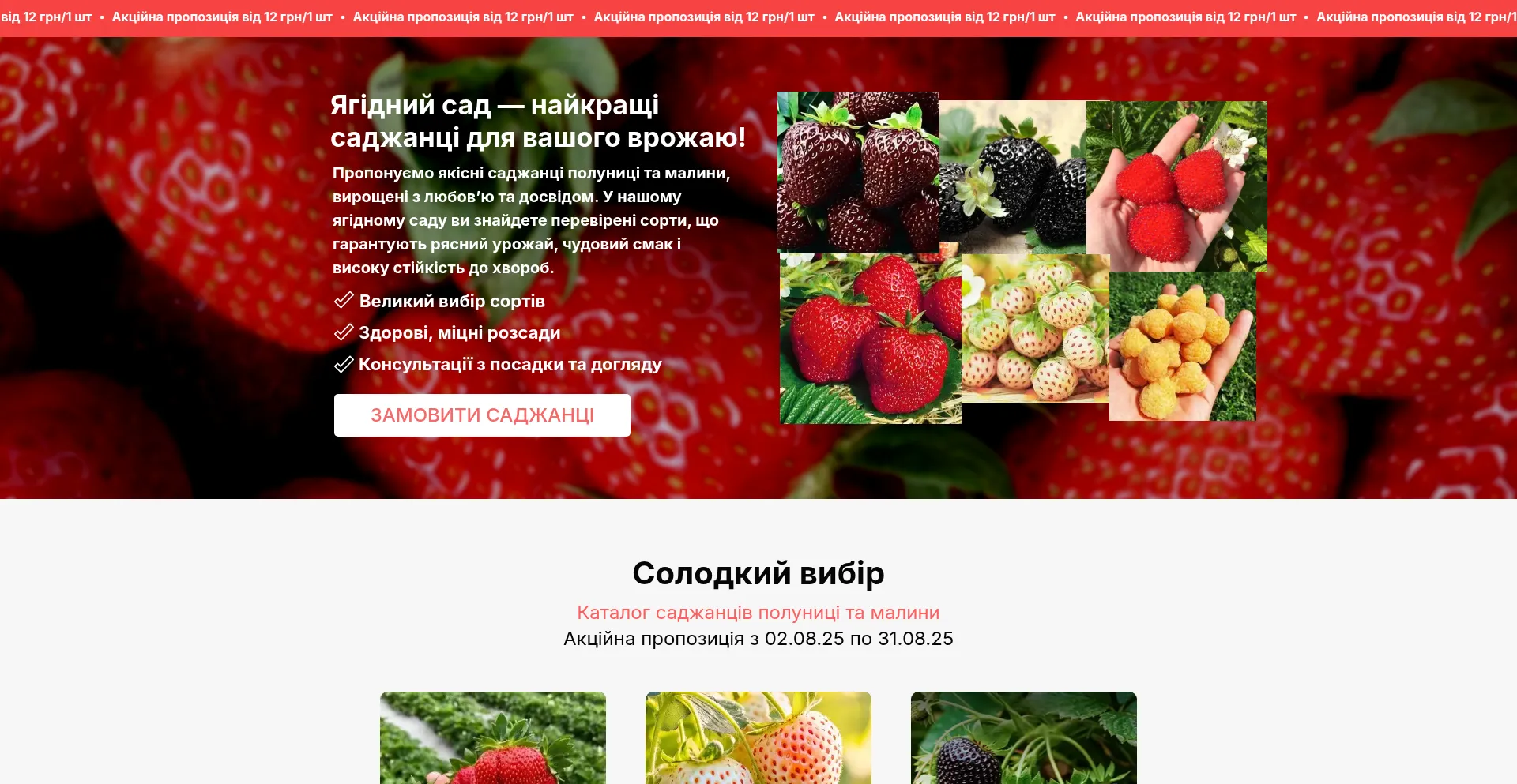 Website screenshot of Tavrys.shop