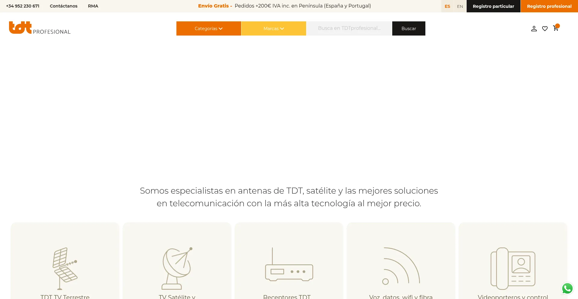Website screenshot of Tdtprofesional.com