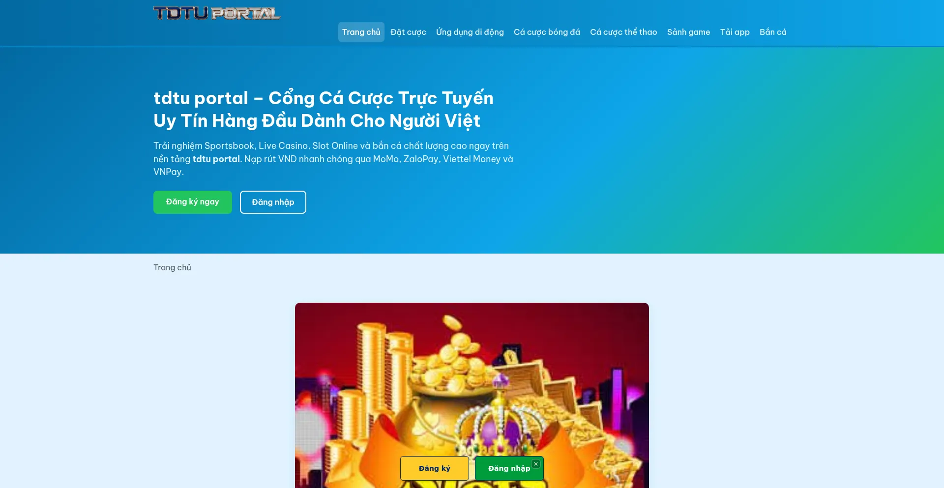 Tdtuportal.com
