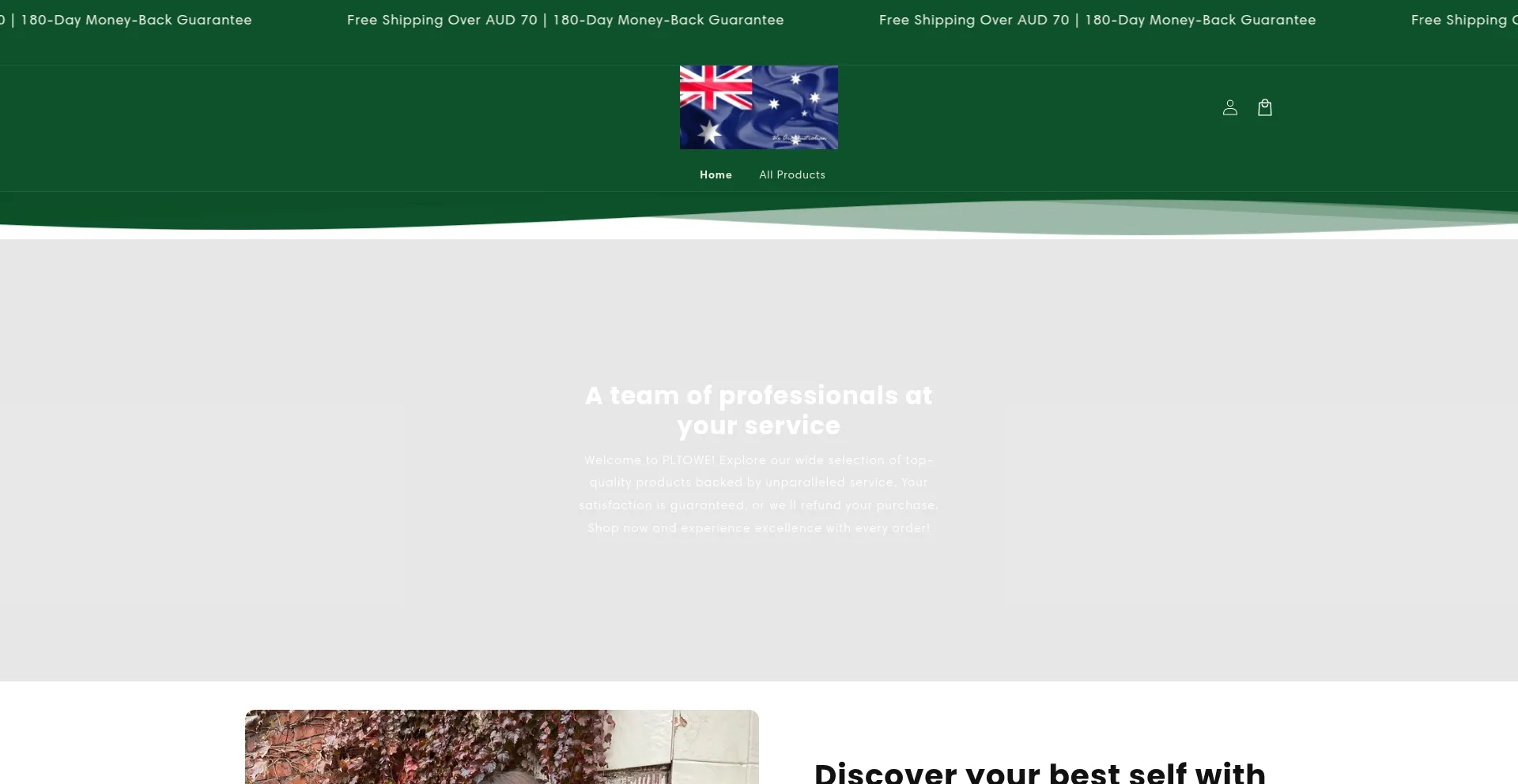 Website screenshot of Tecpeace.com