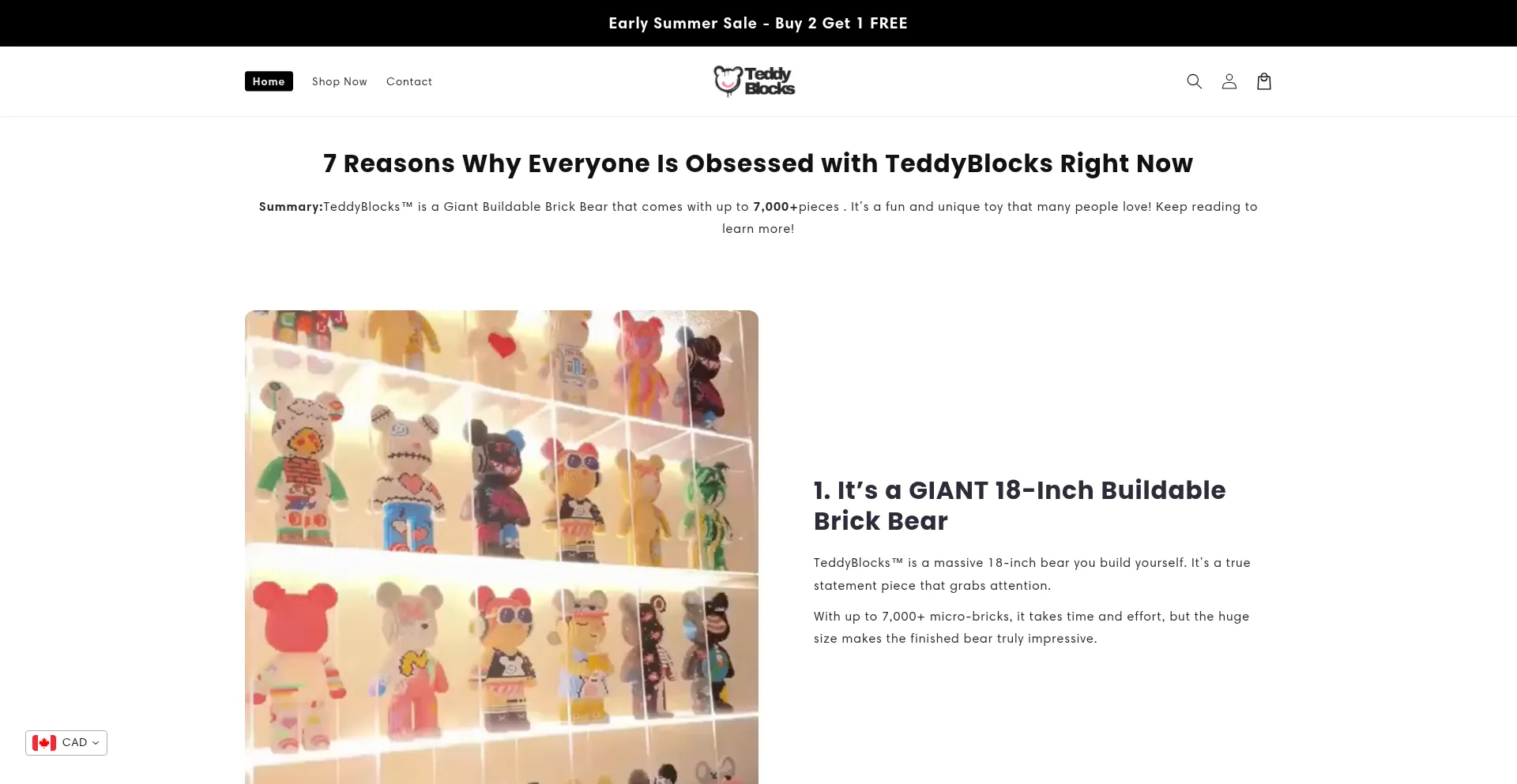 Website screenshot of Teddyblocks.shop
