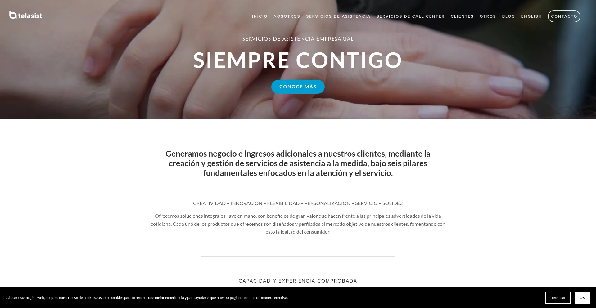 Website screenshot of Telasist.com