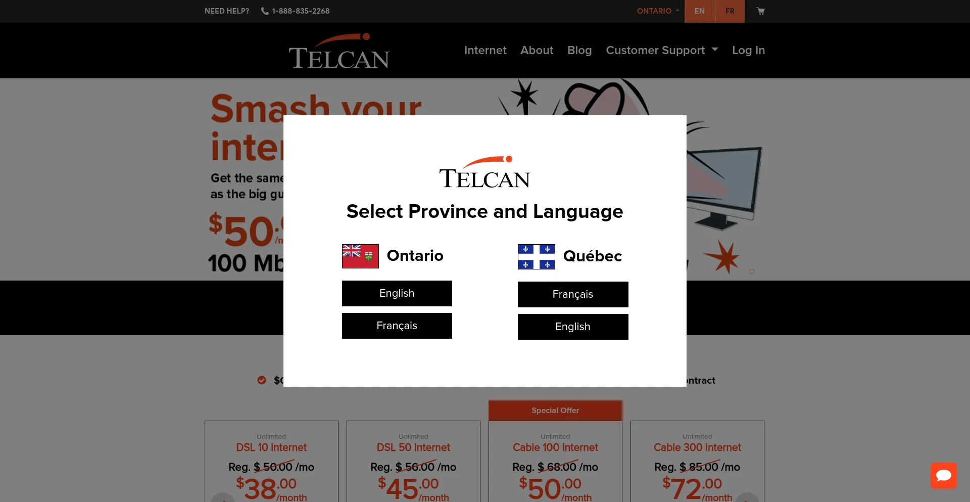 Website screenshot of Telcan.com