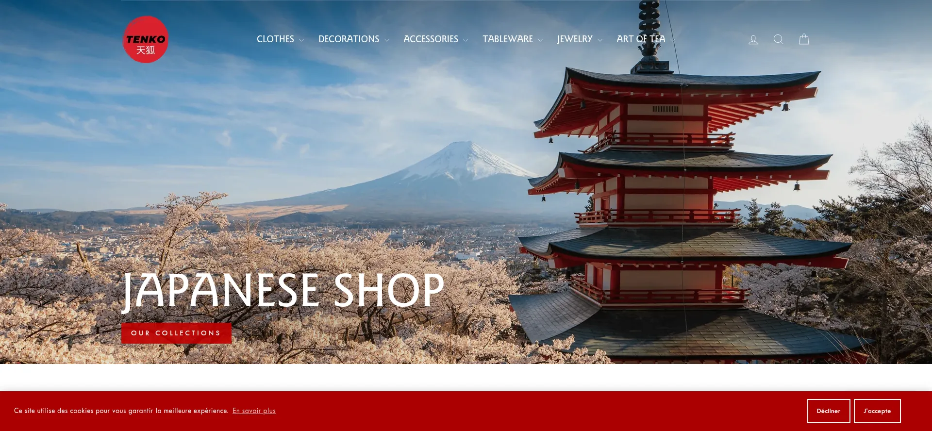 Website screenshot of Tenko.fr