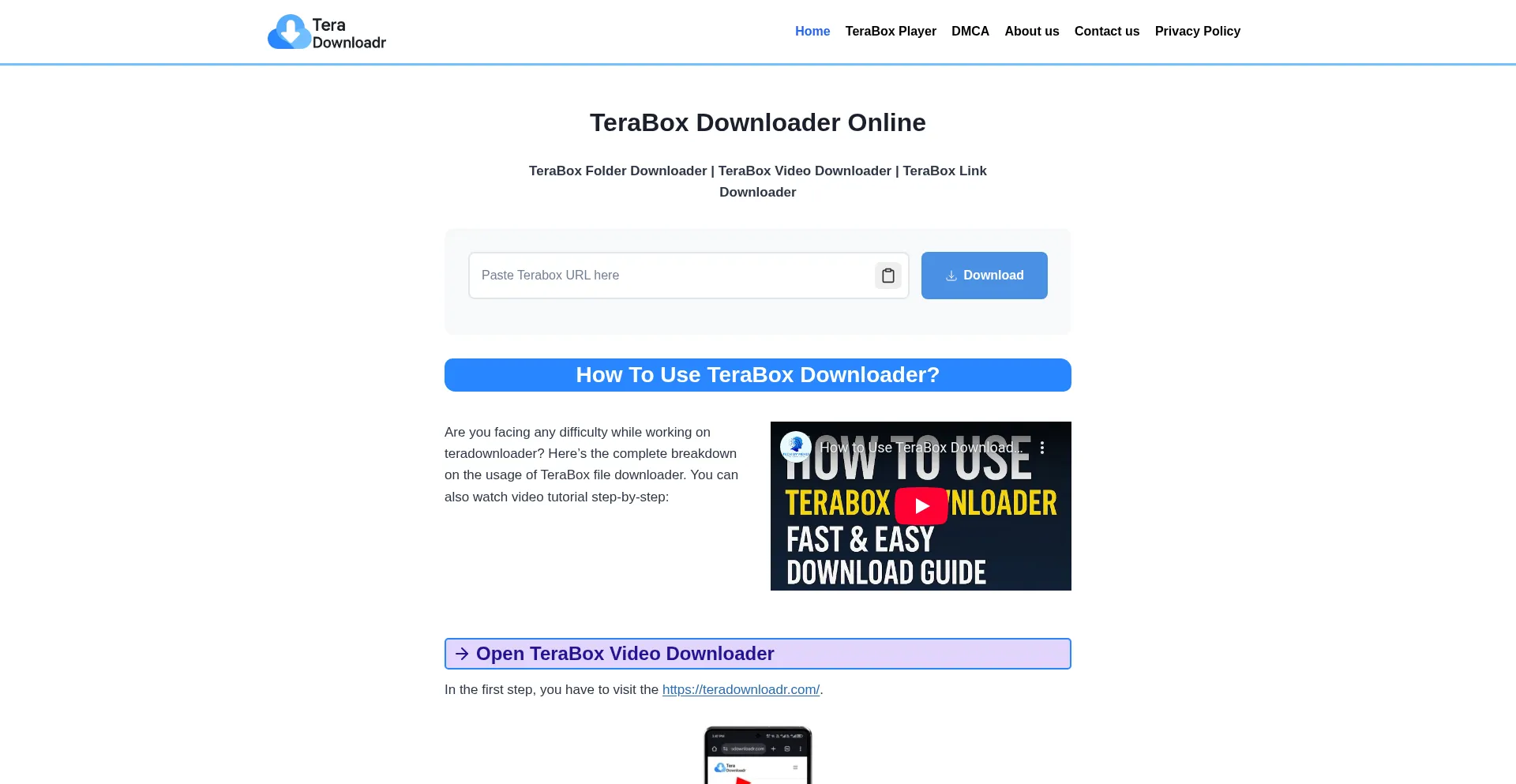 Website screenshot of Teradownloadr.com