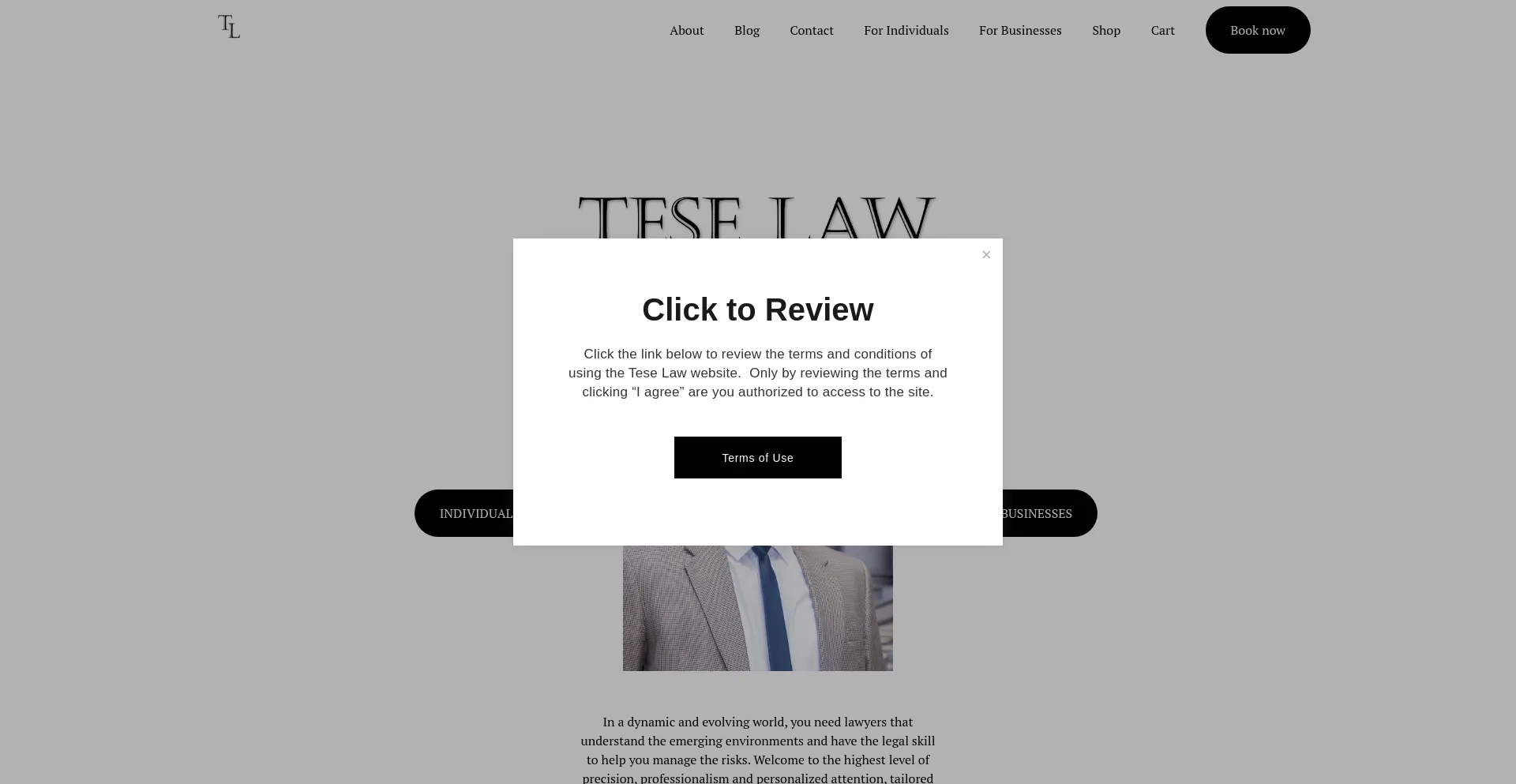 Website screenshot of Teselaw.com