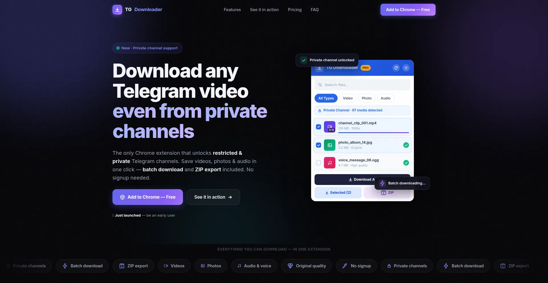 Tgvideodownloader.online