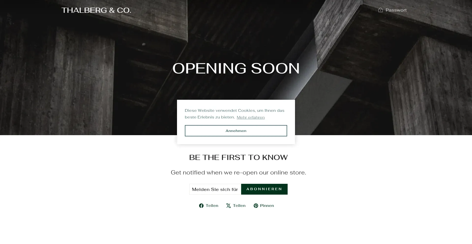 Website screenshot of Thalbergundco.de