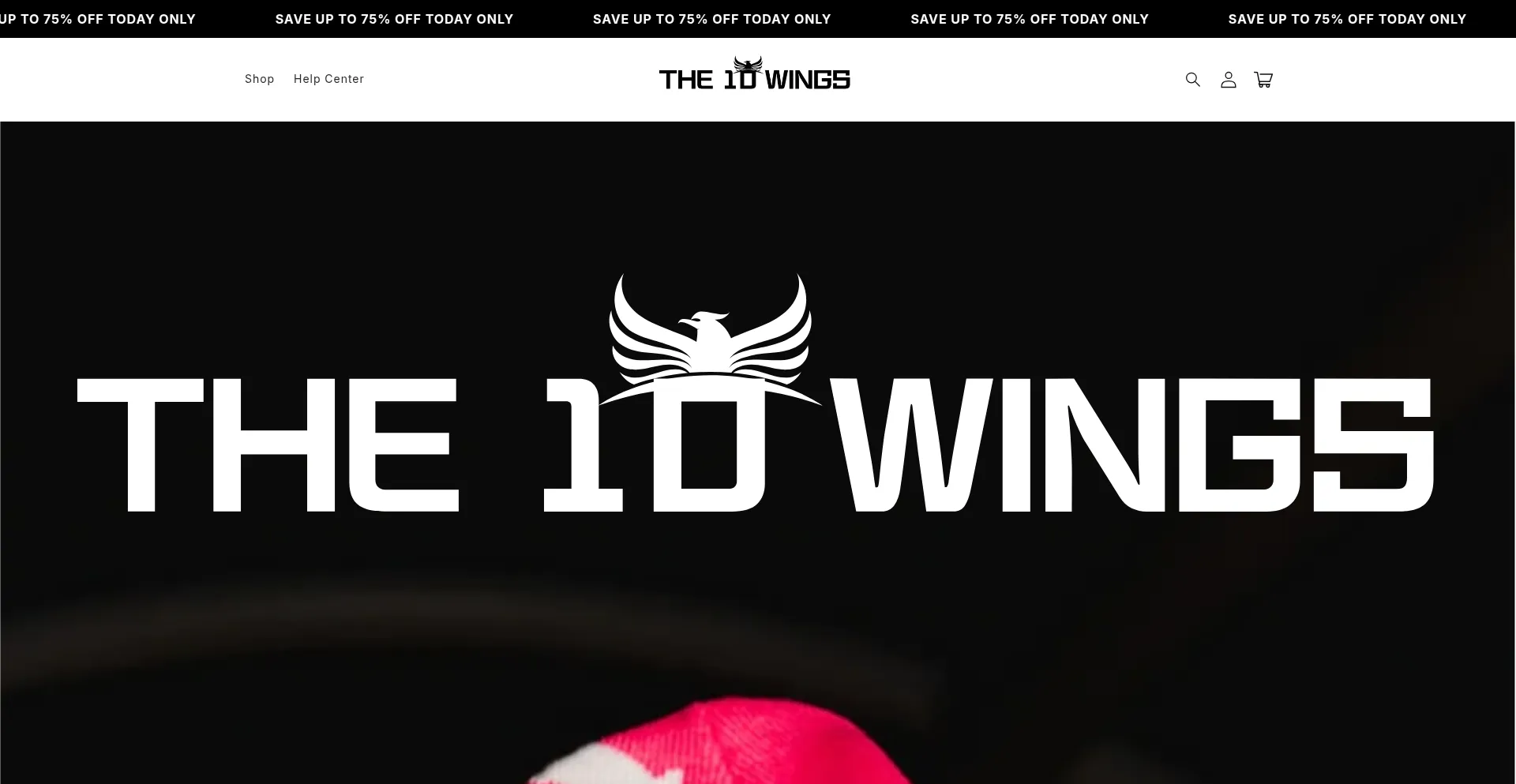 The10wings.com