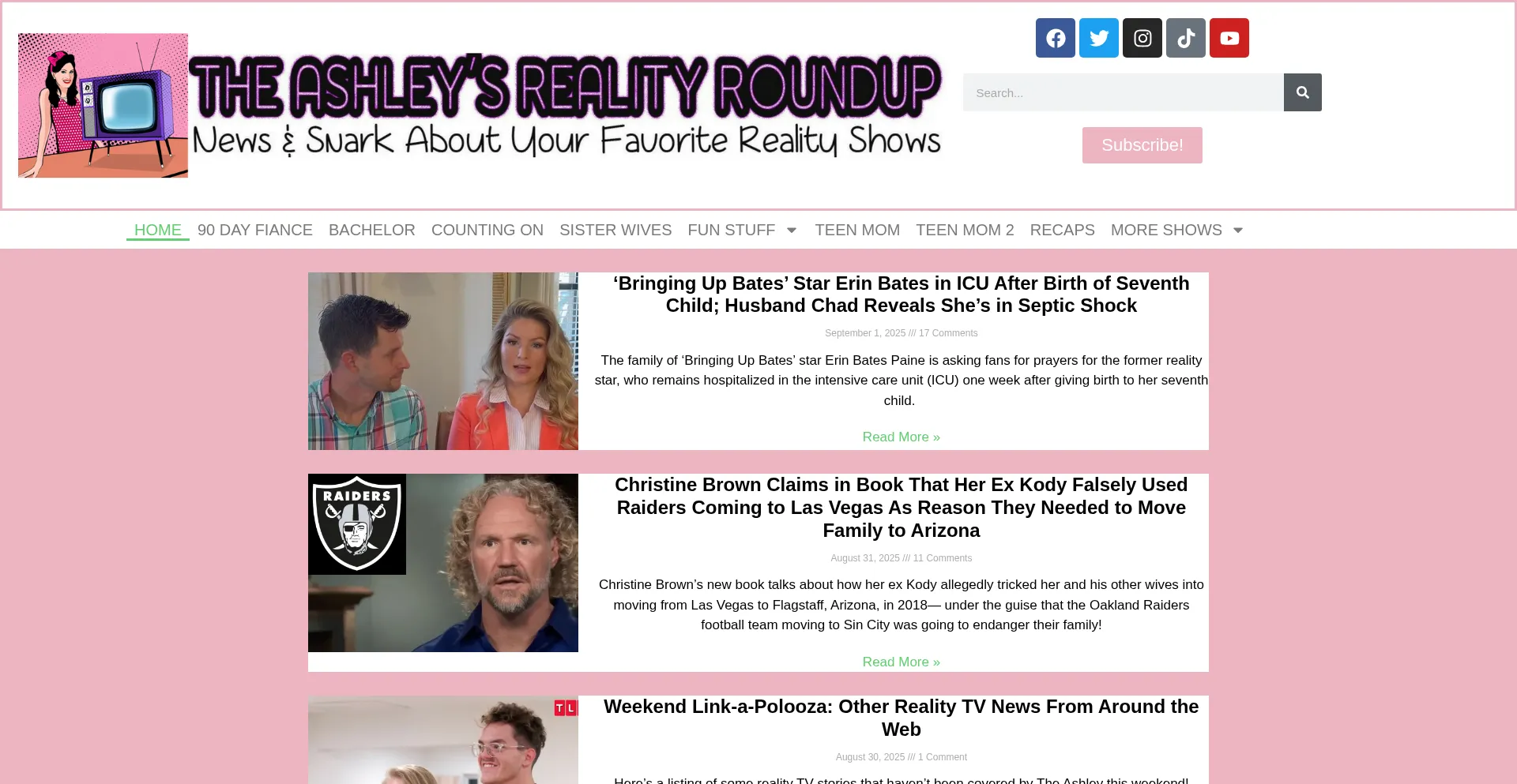 Website screenshot of Theashleysrealityroundup.com