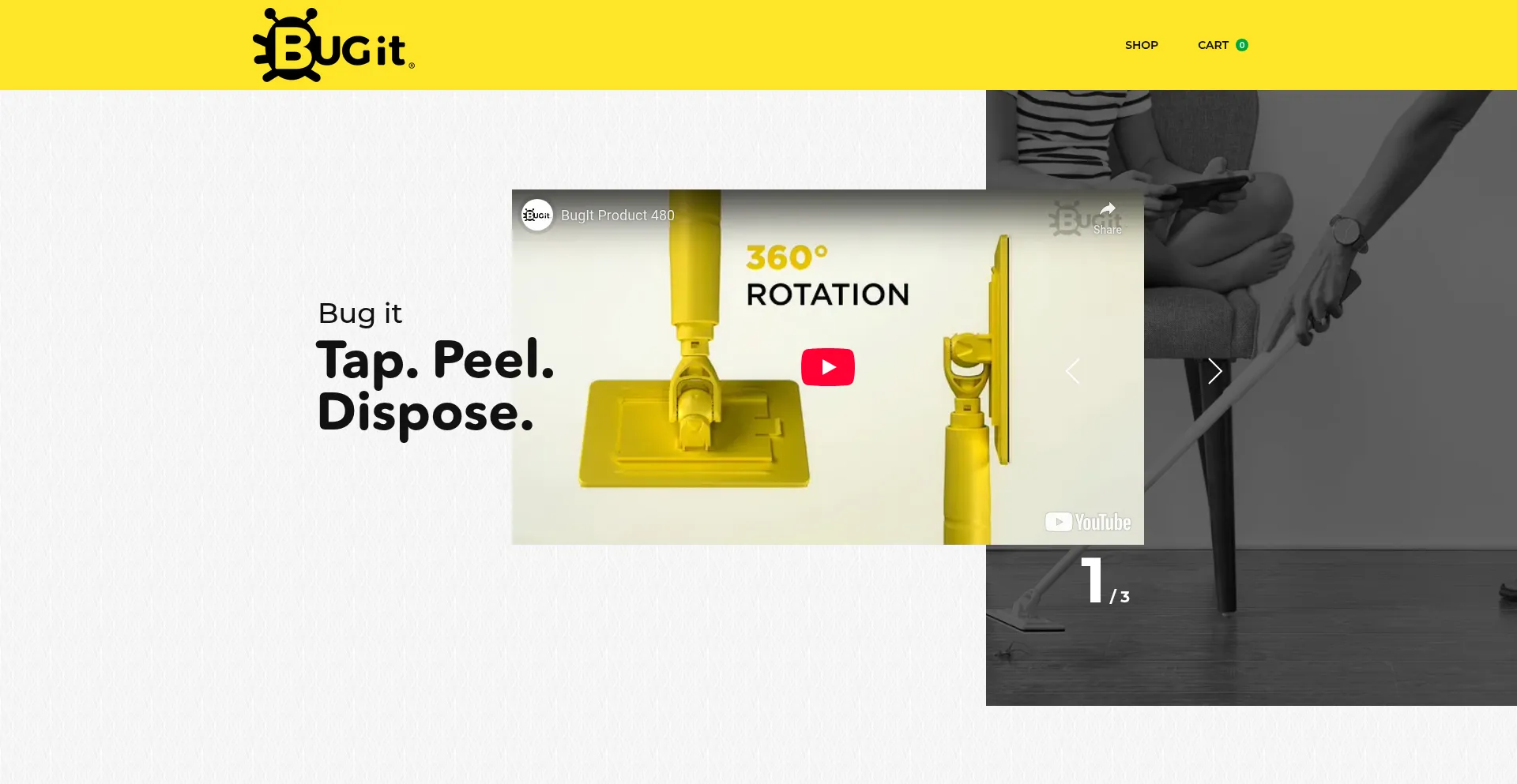 Website screenshot of Thebugit.com