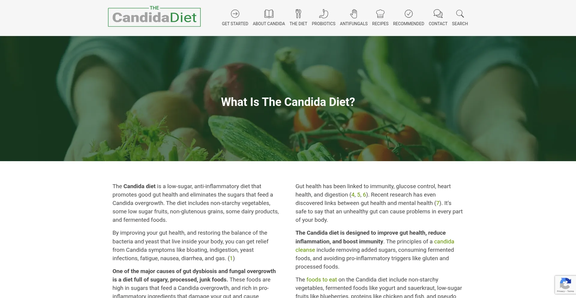 Website screenshot of Thecandidadiet.com