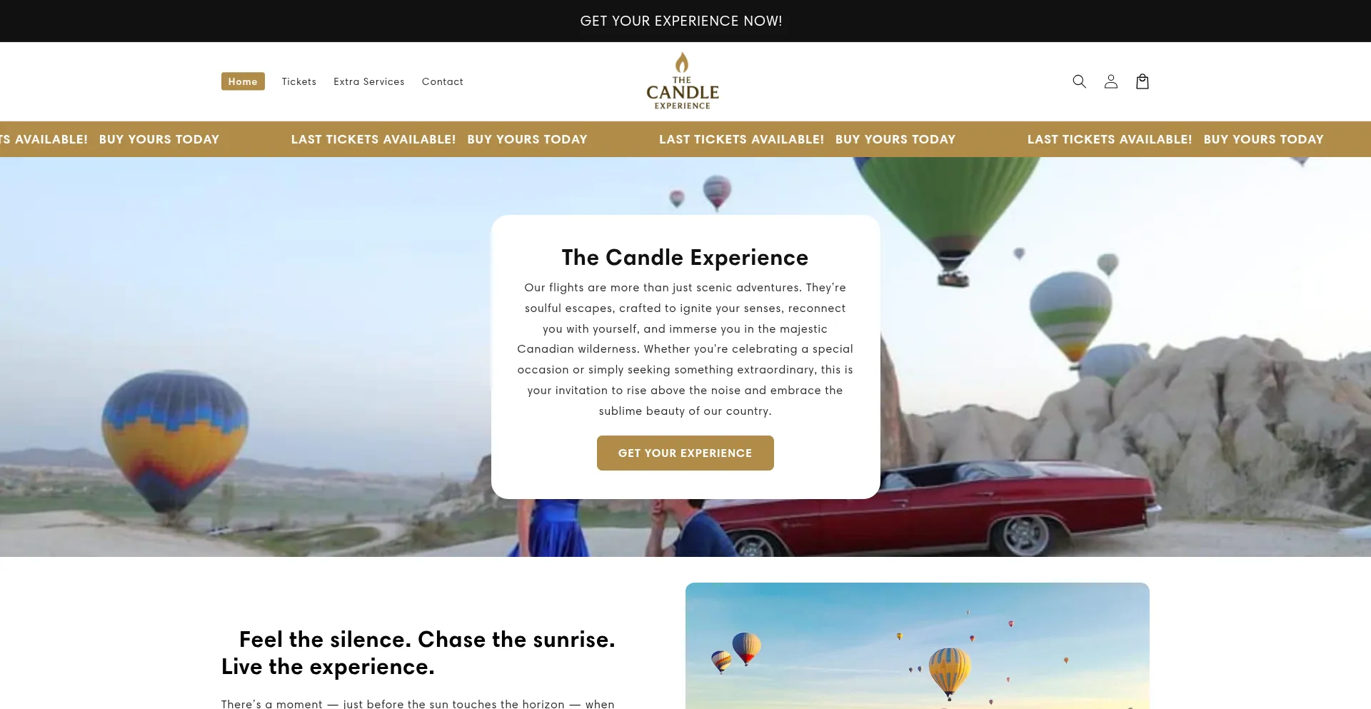 Website screenshot of Thecandleexperience.com