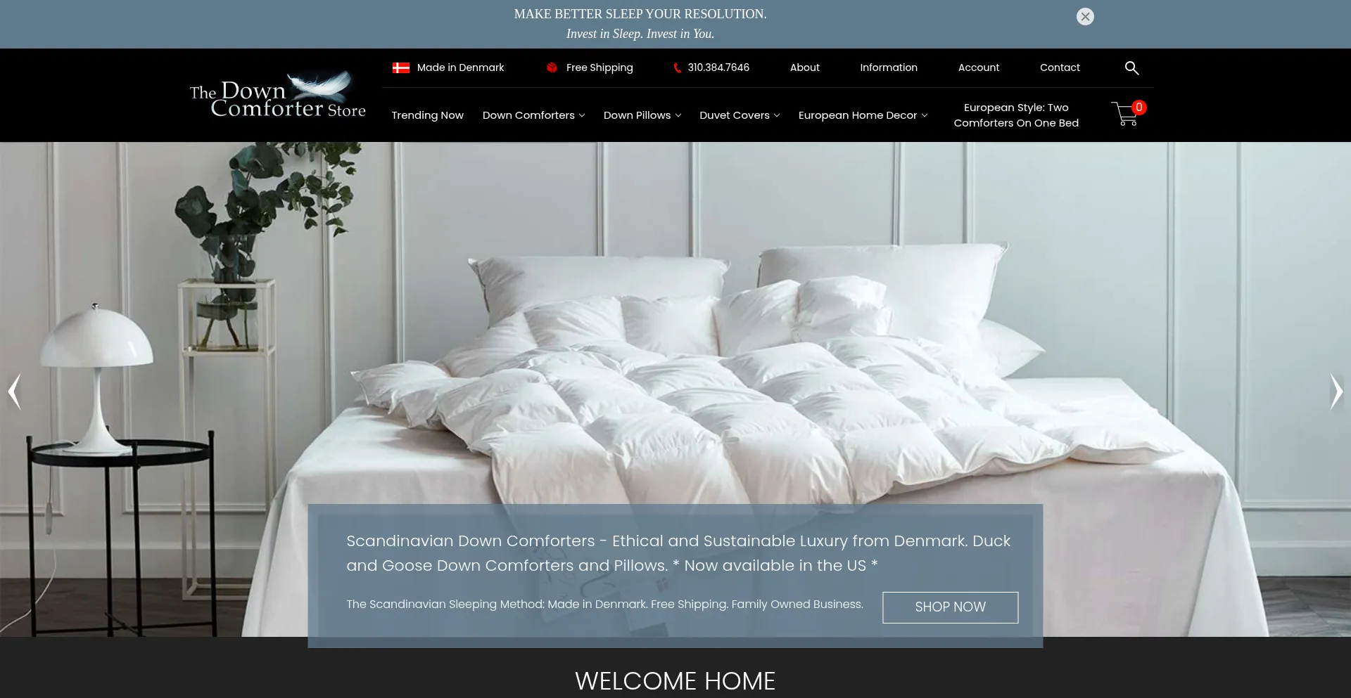 Thedowncomforterstore.com
