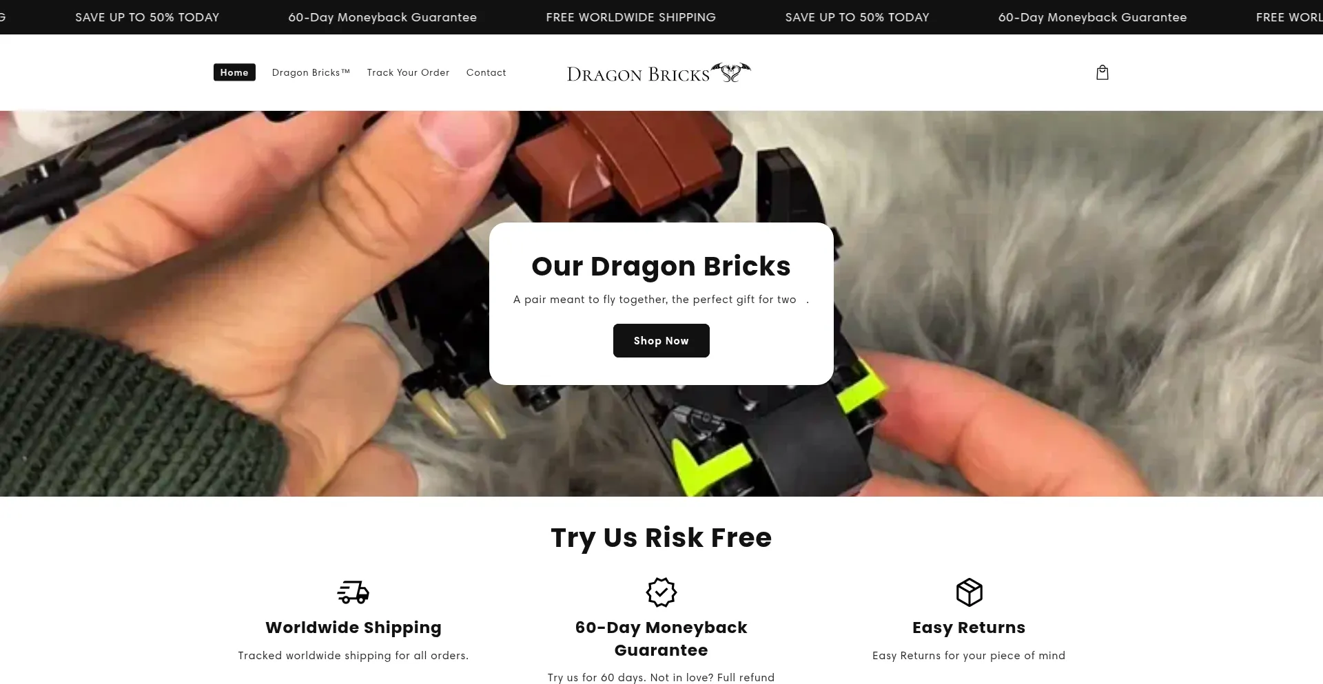 Website screenshot of Thedragonbricks.com