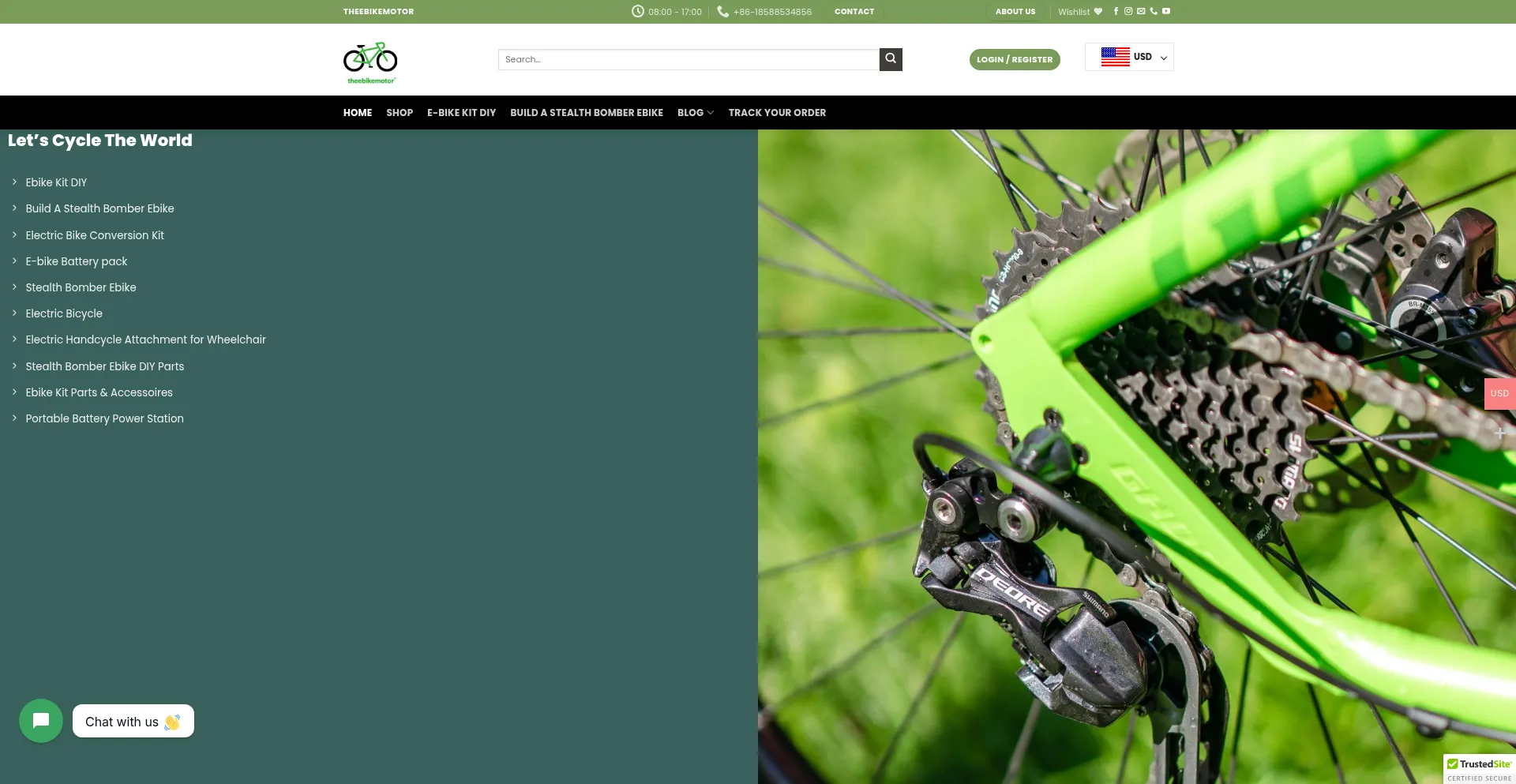 Website screenshot of Theebikemotor.com