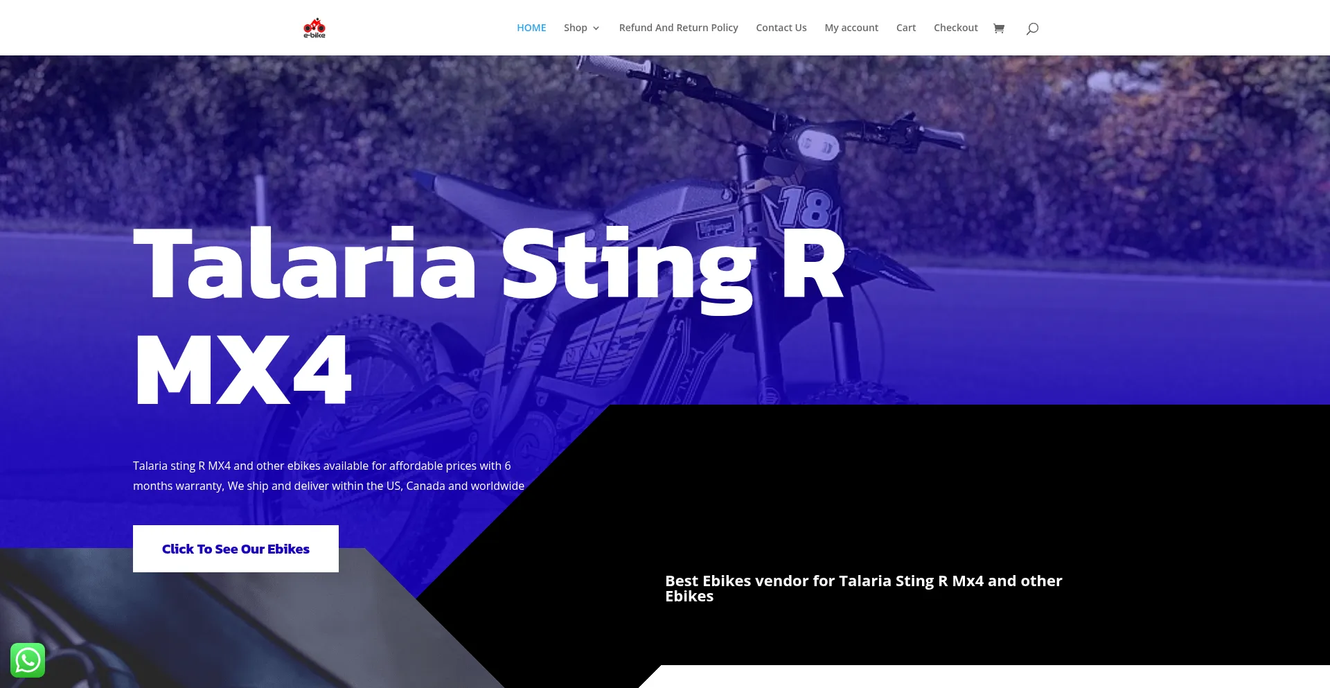Website screenshot of Theebikesstore.com