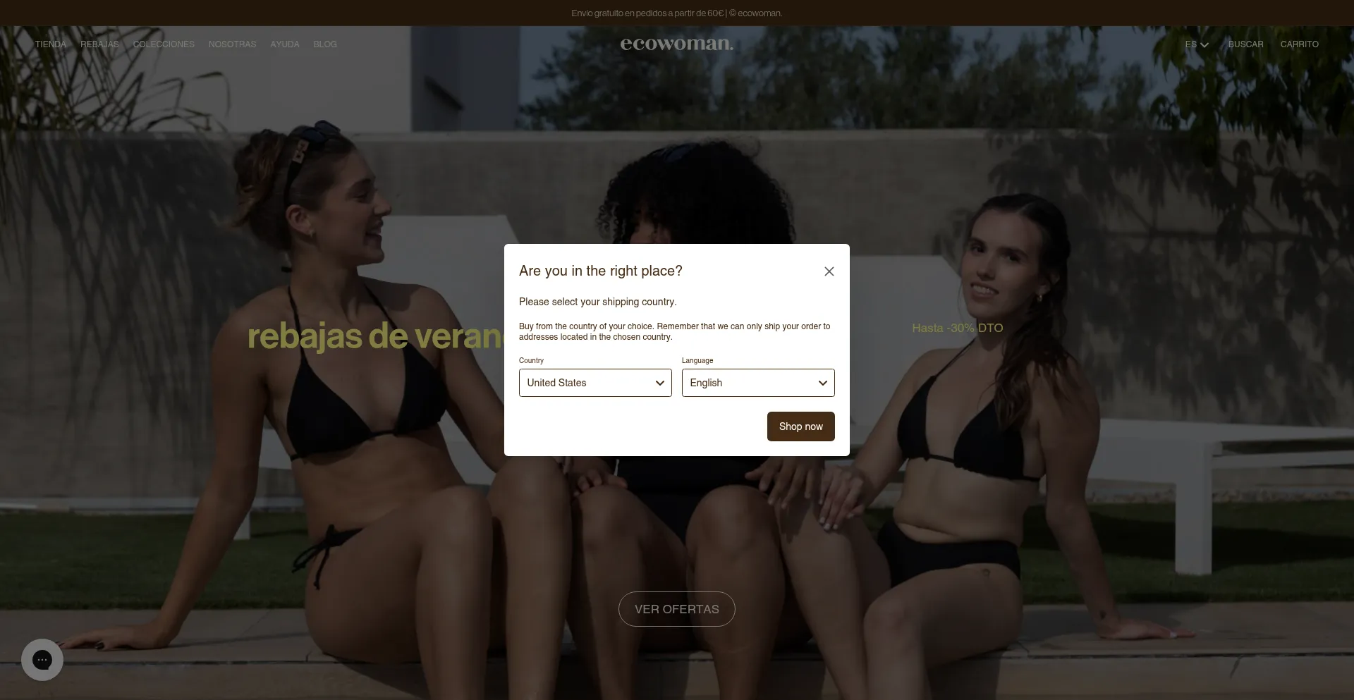Website screenshot of Theecowoman.es