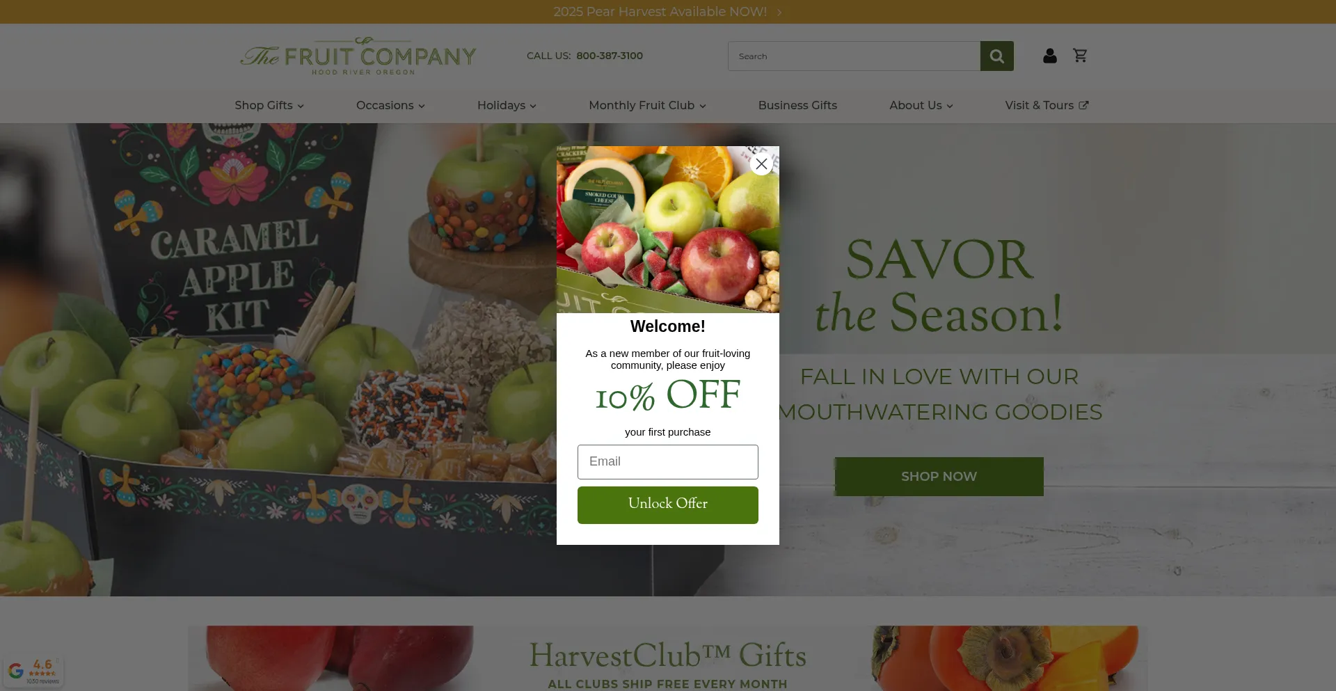 Thefruitcompany.com Screenshot