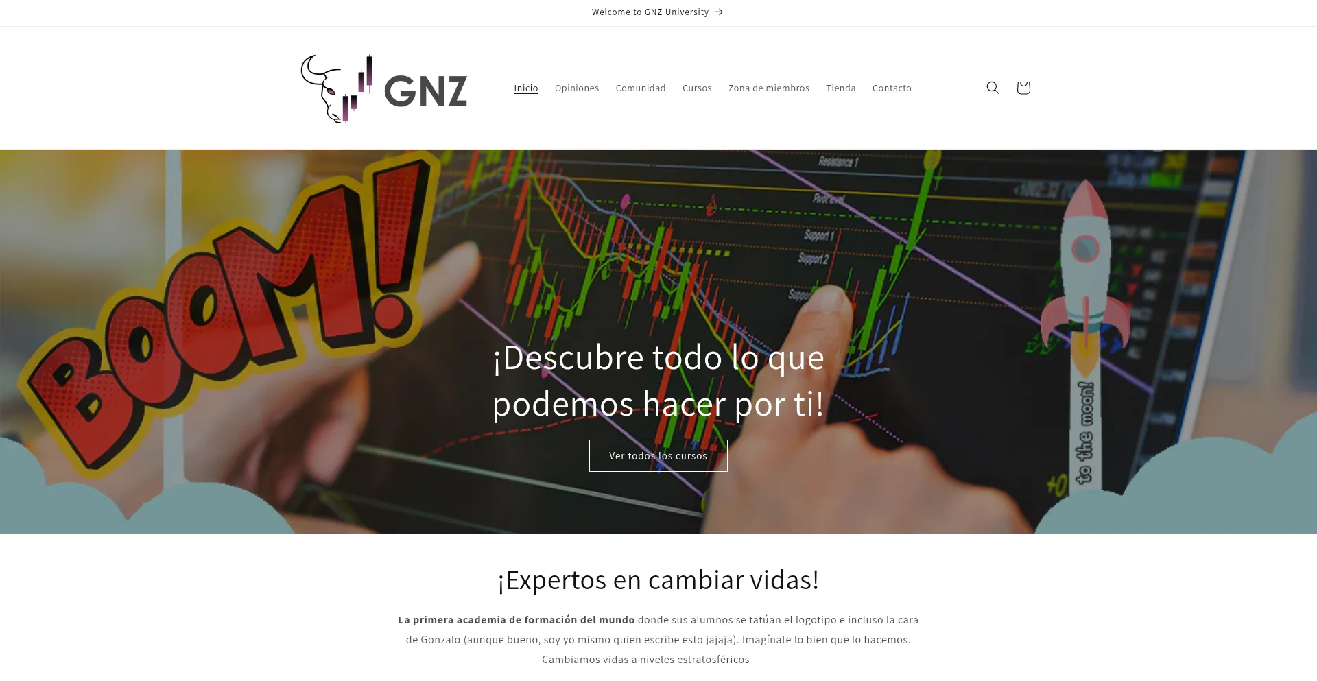 Website screenshot of Thegnzuniversity.com