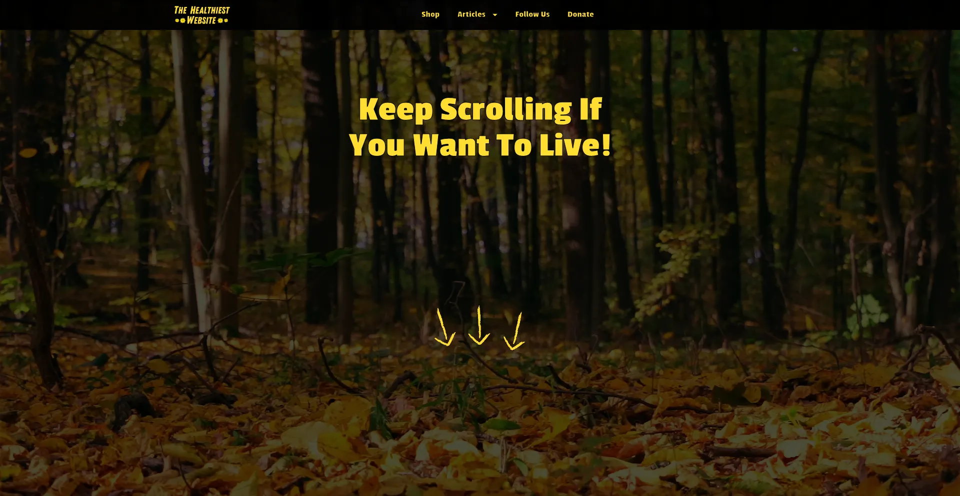 Thehealthiestwebsite.com