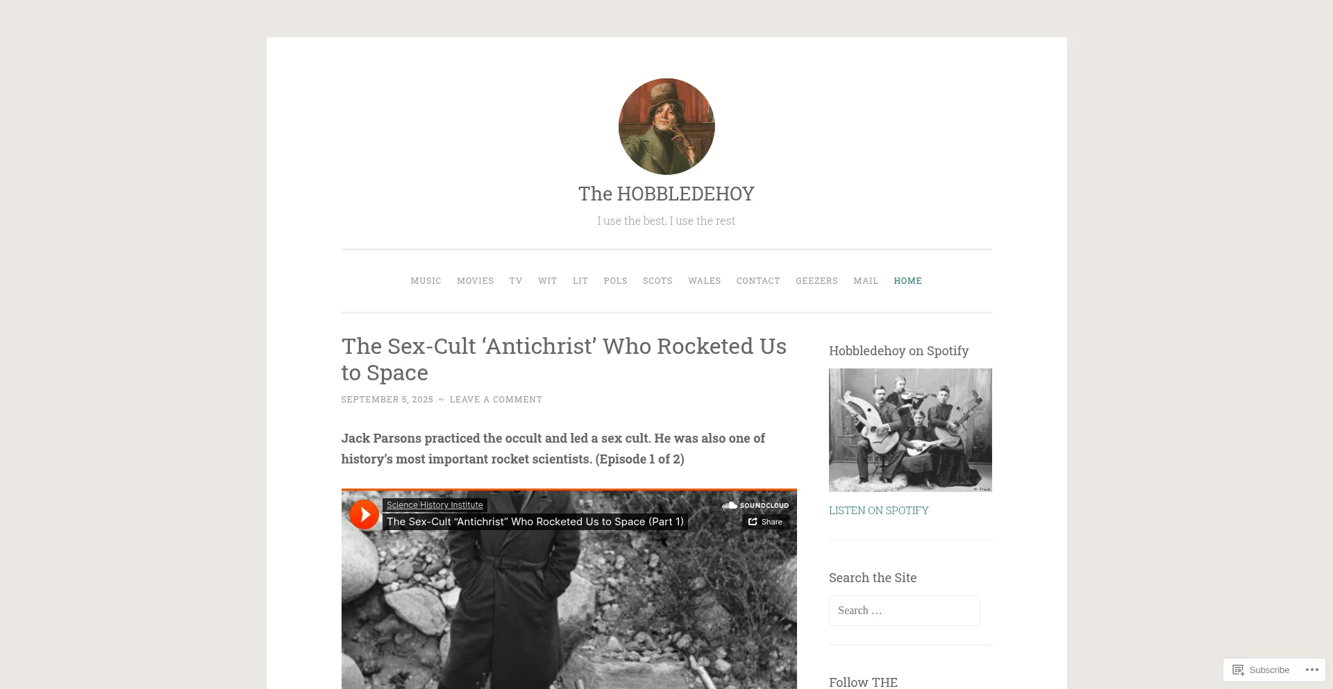 Website screenshot of Thehobbledehoy.com